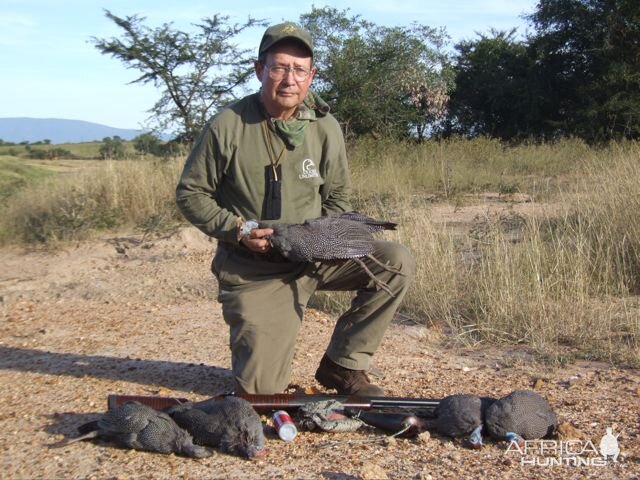 Bird Hunting South Africa Guineafowl