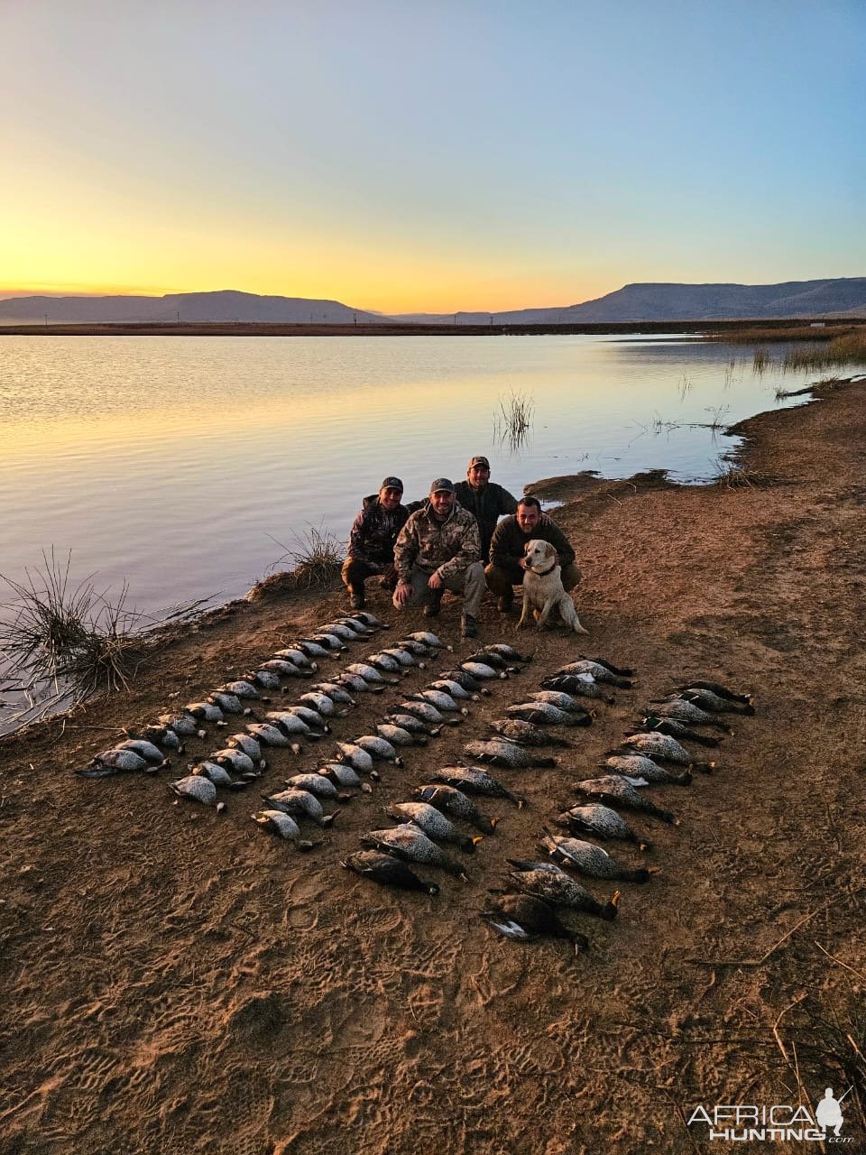 Bird hunting South Africa