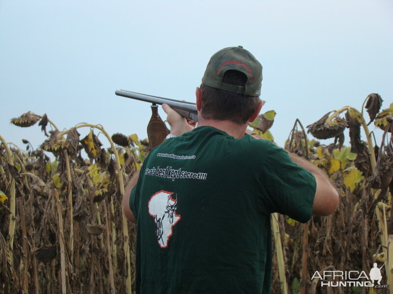 Bird Hunting South Africa