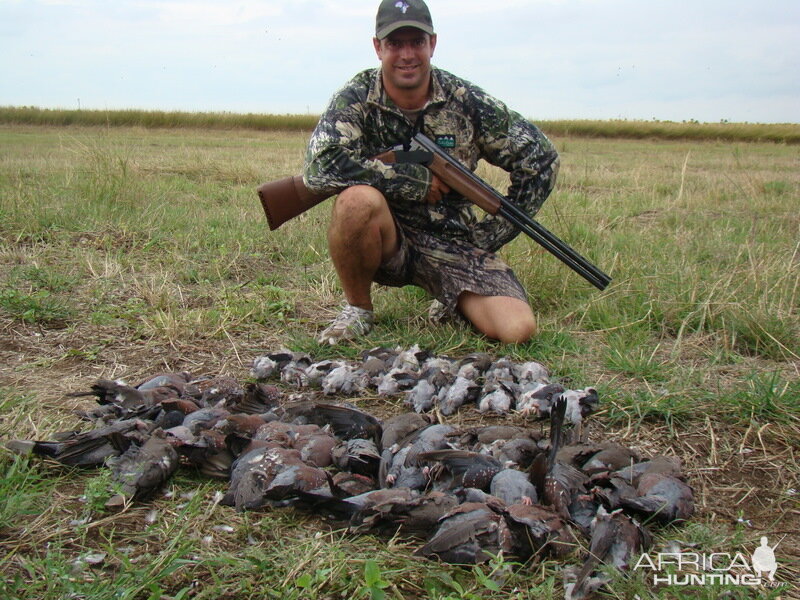 Bird Hunting South Africa