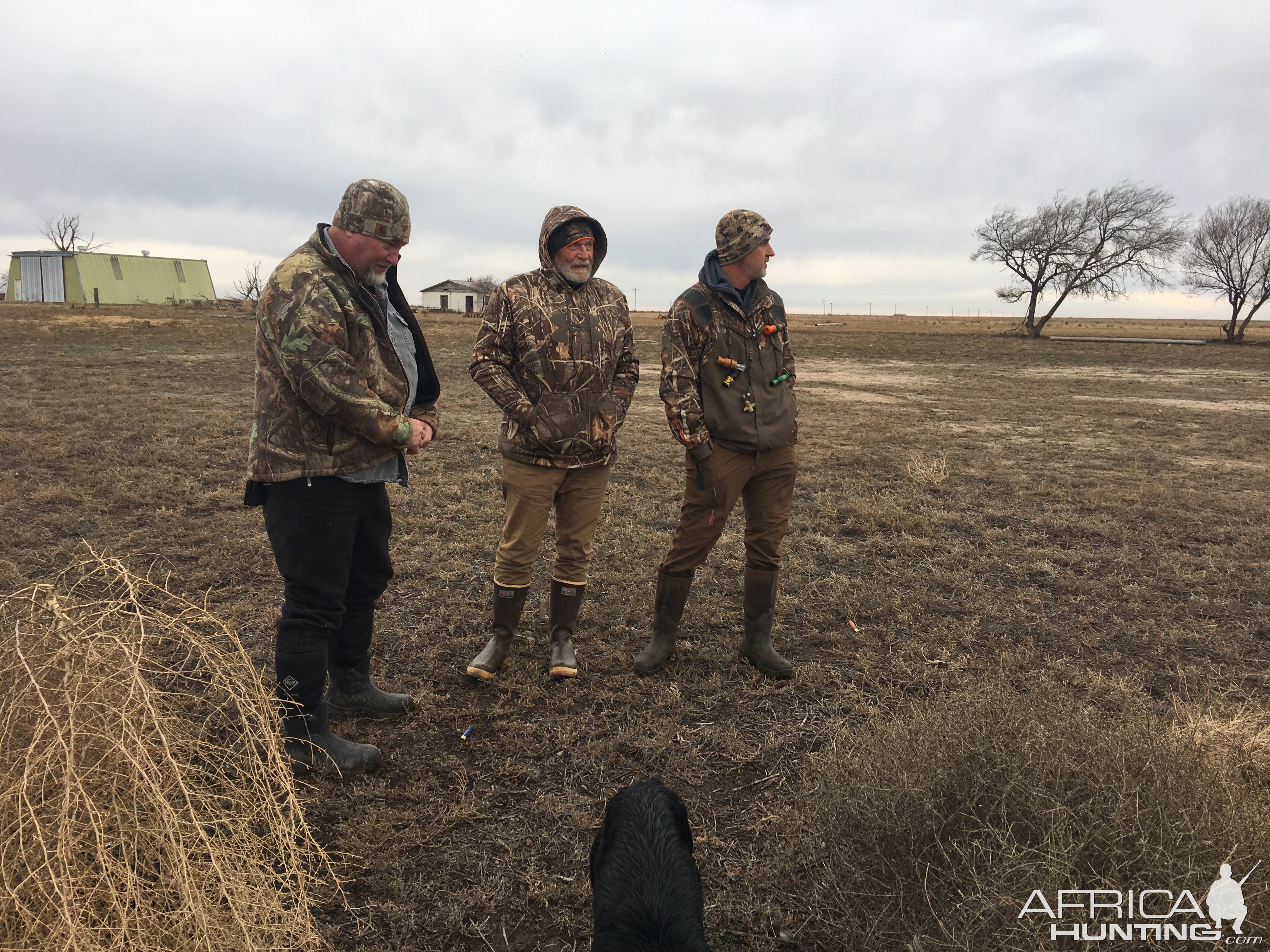 Bird Hunting Texas USA