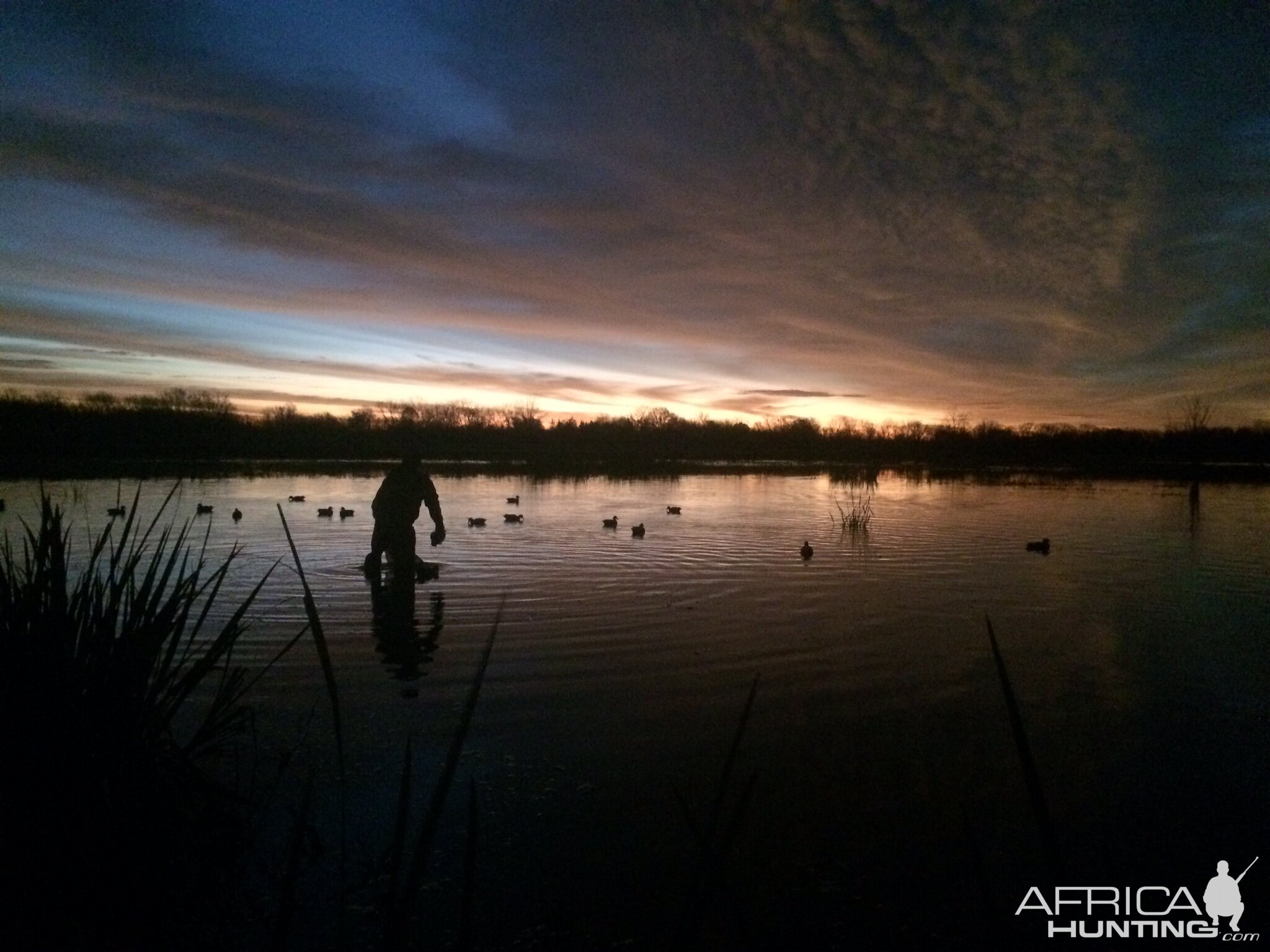 Bird Hunting USA