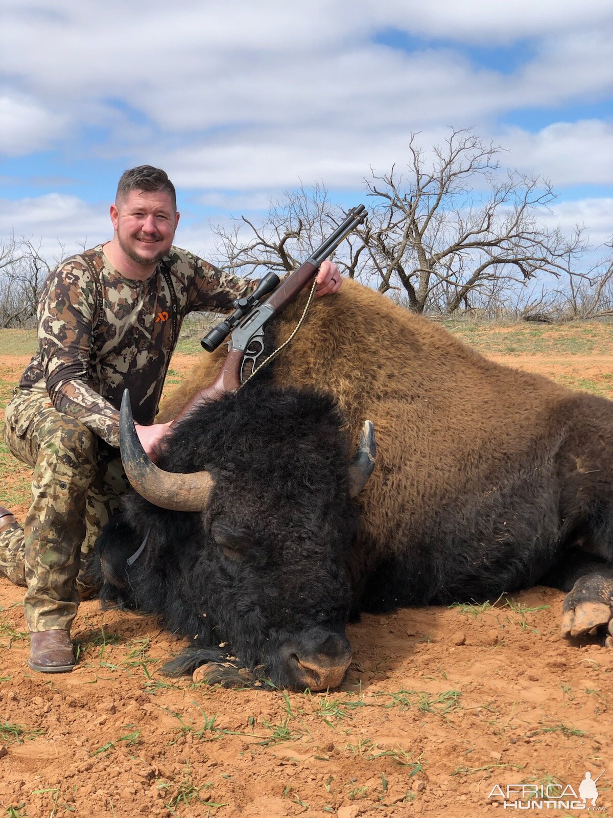 Bison Hunt Texas USA