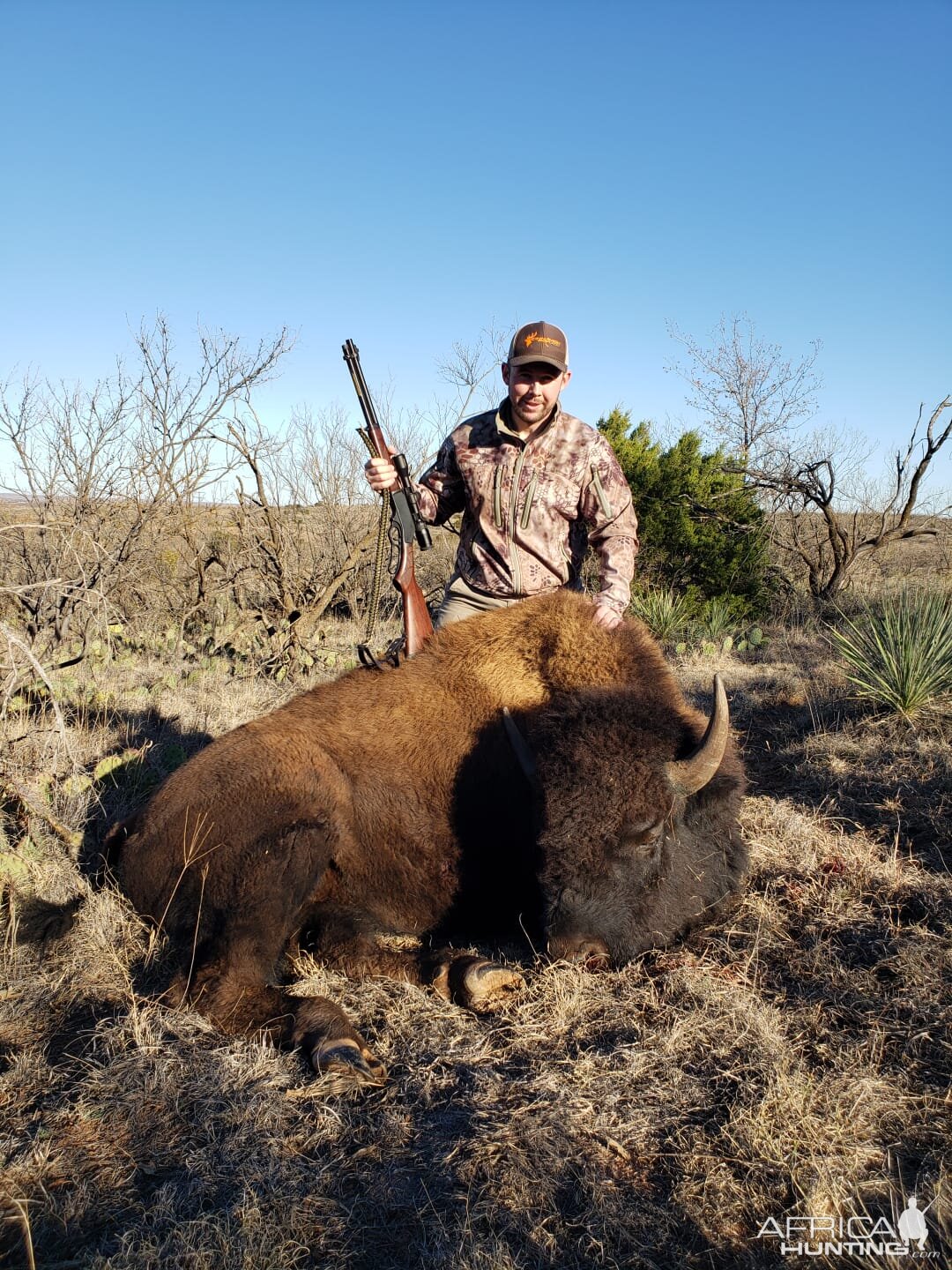 Bison Hunt Texas USA