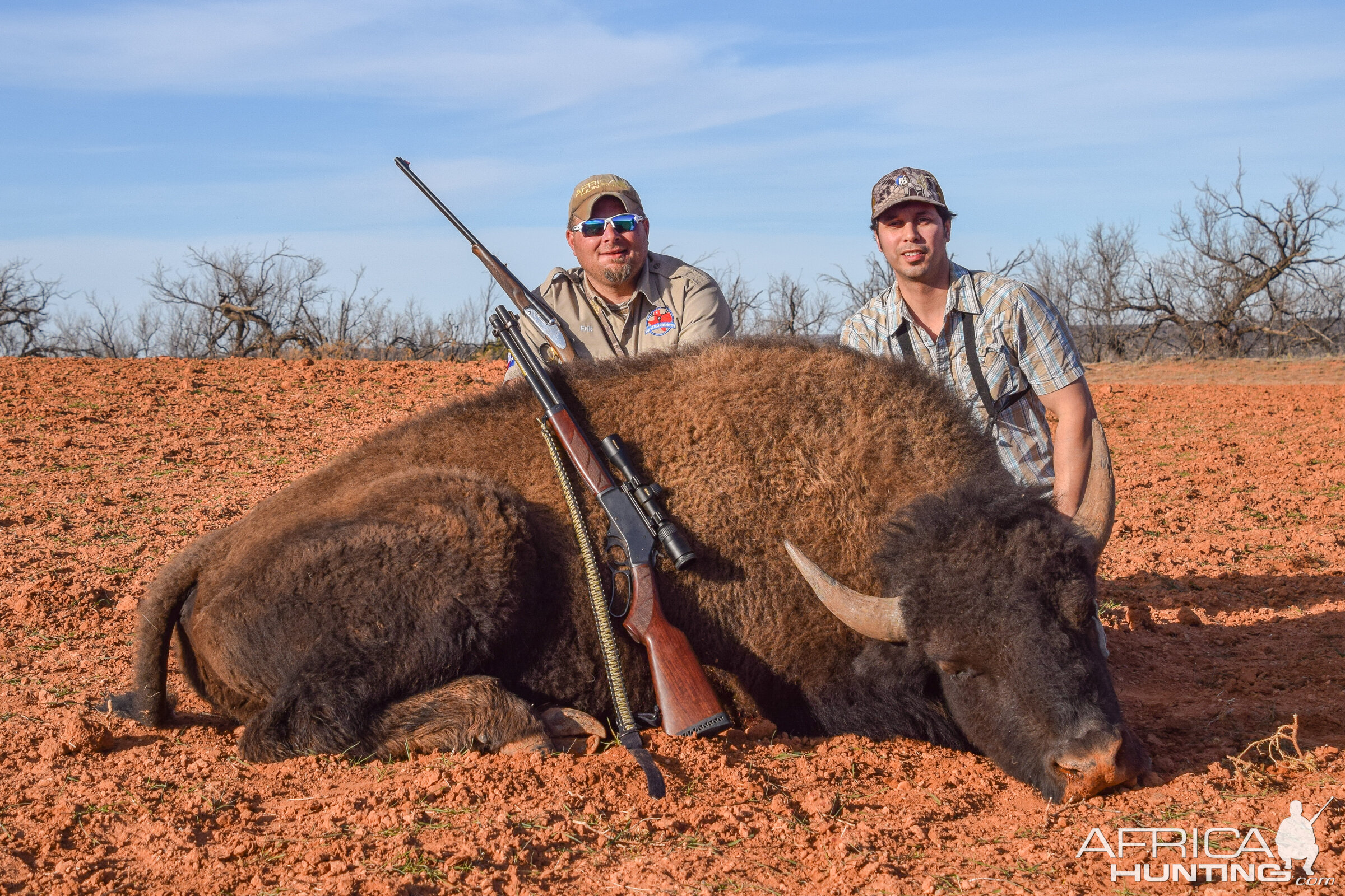 Bison Hunting Texas USA