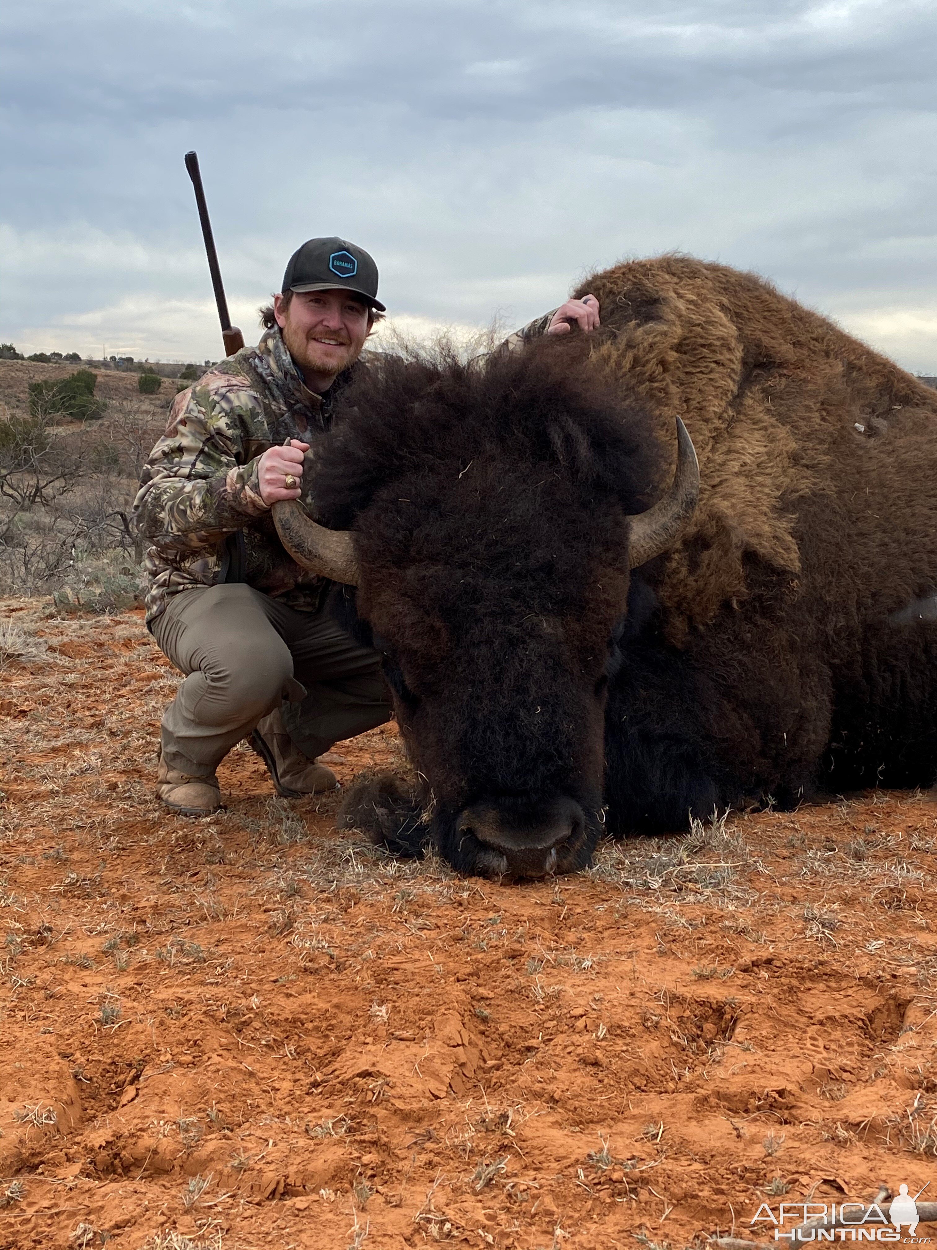 Bison Hunting