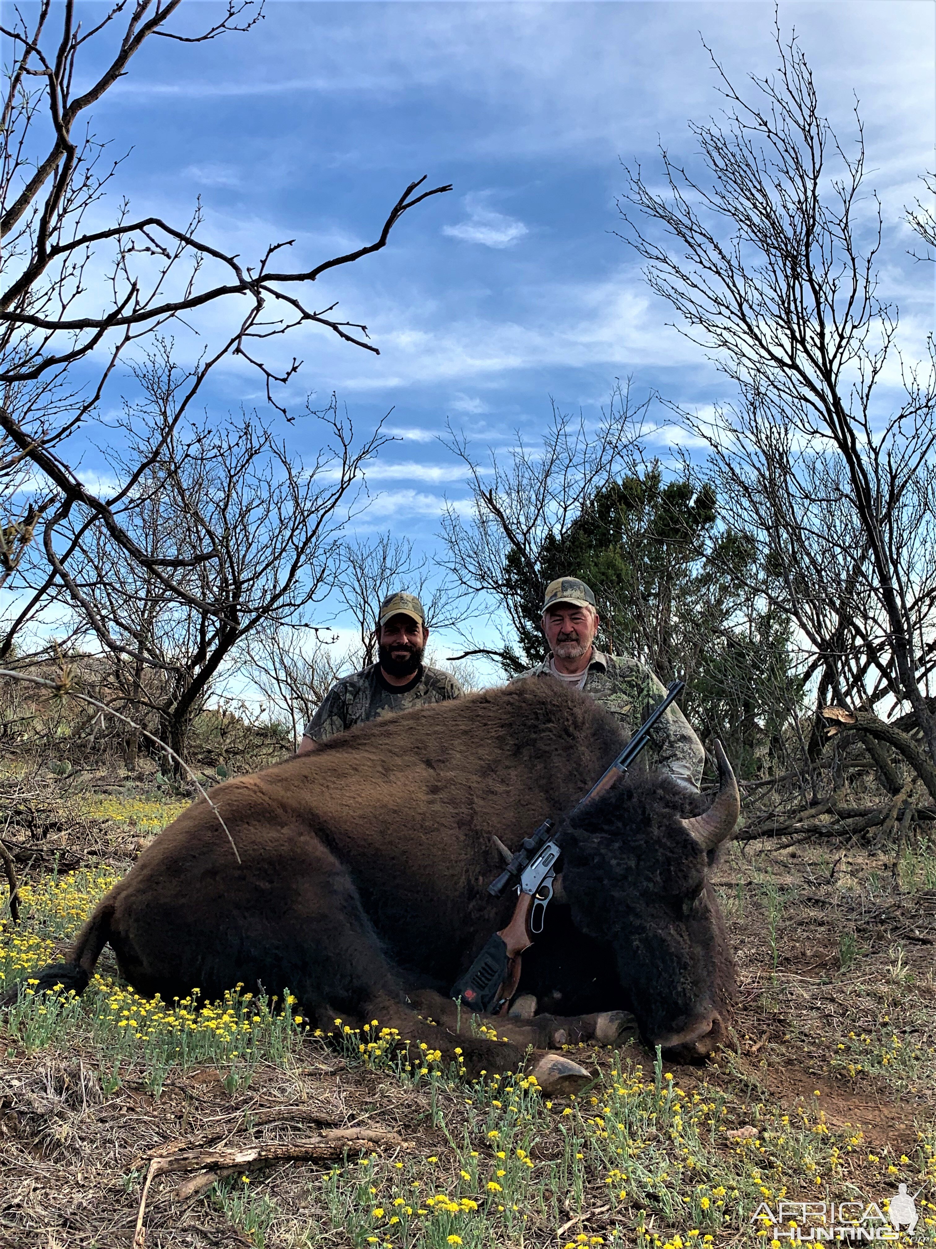 Bison Hunting