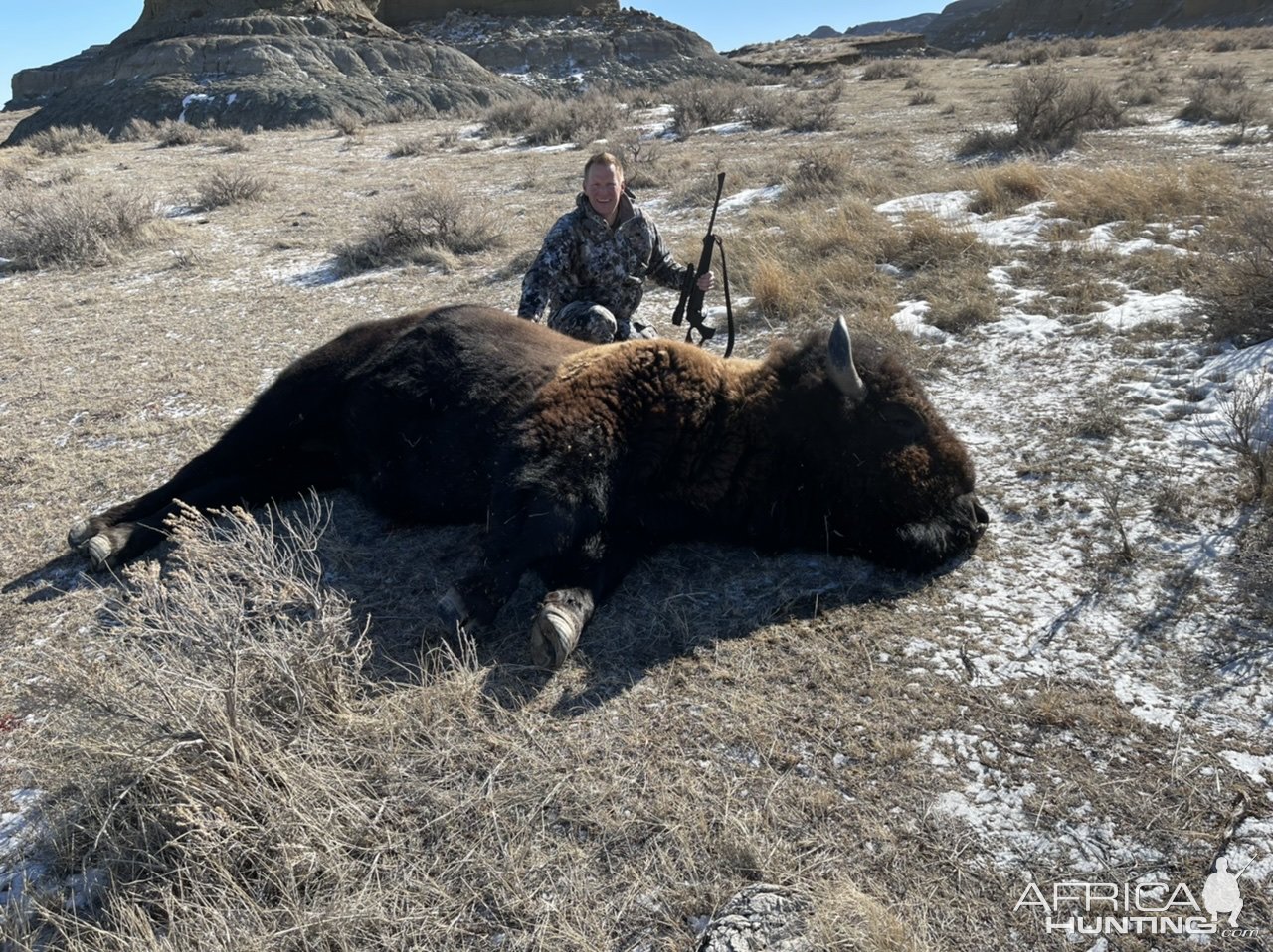 Bison Hunting