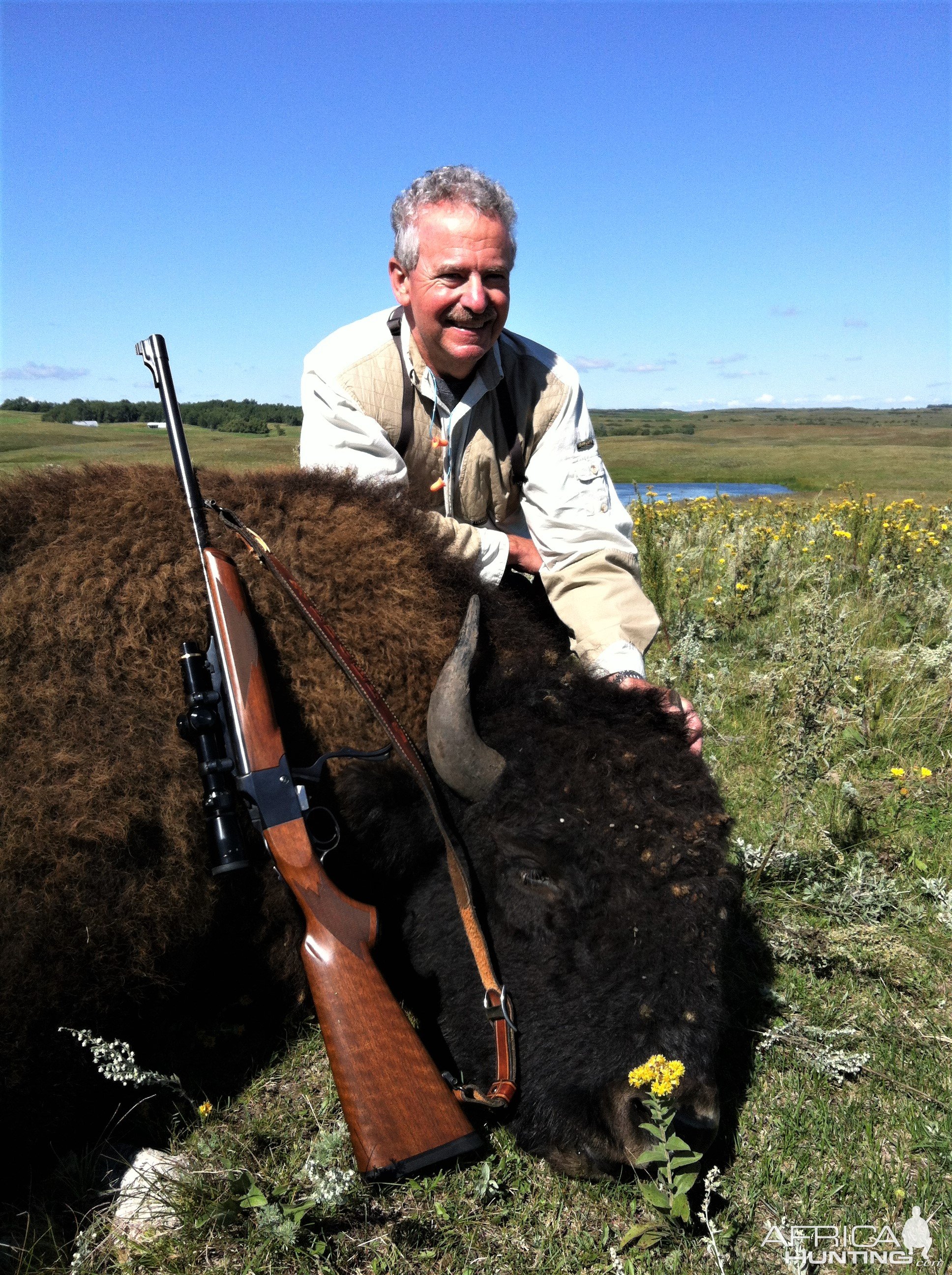 Bison Hunting