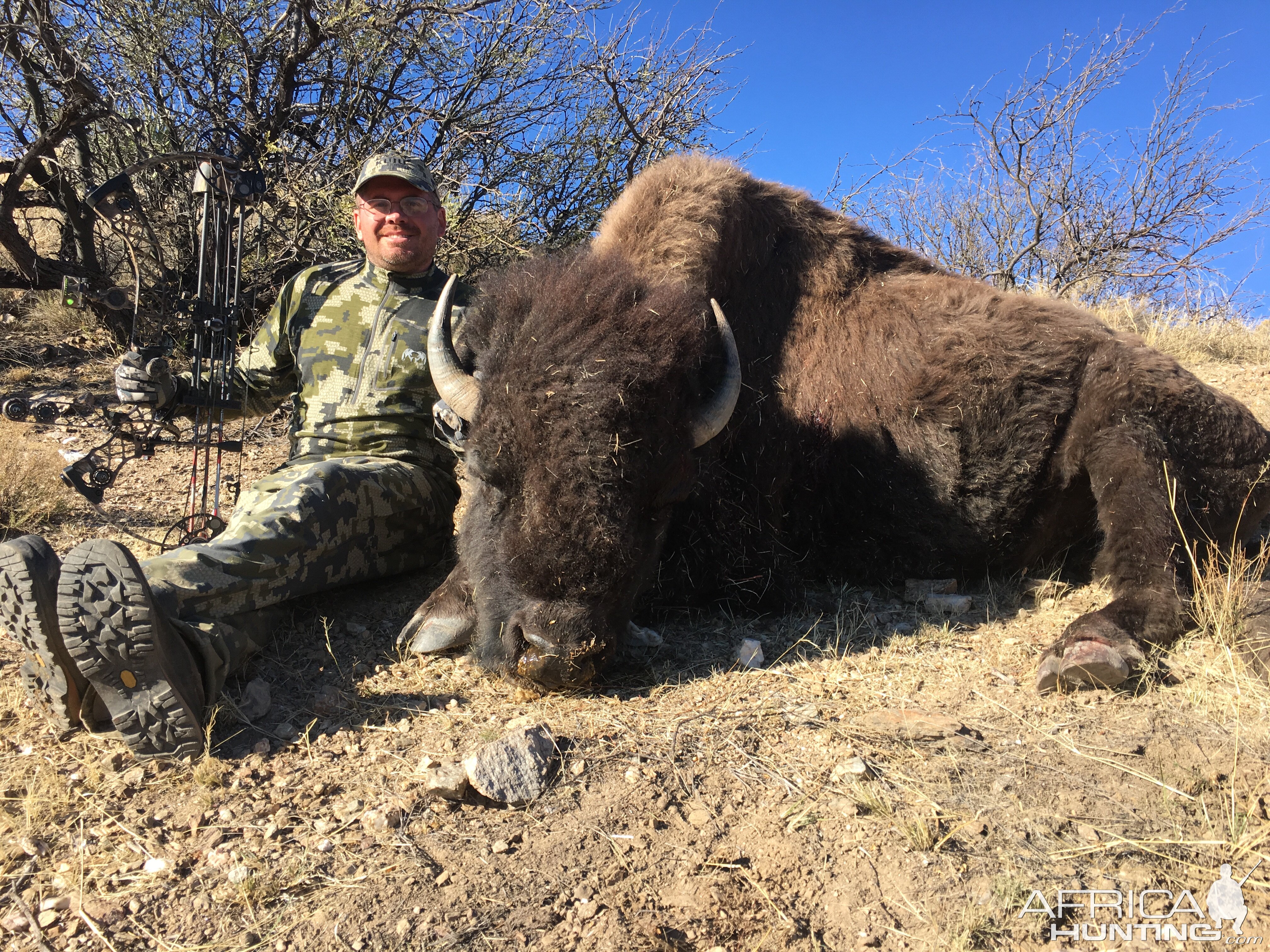 Bison Hunting