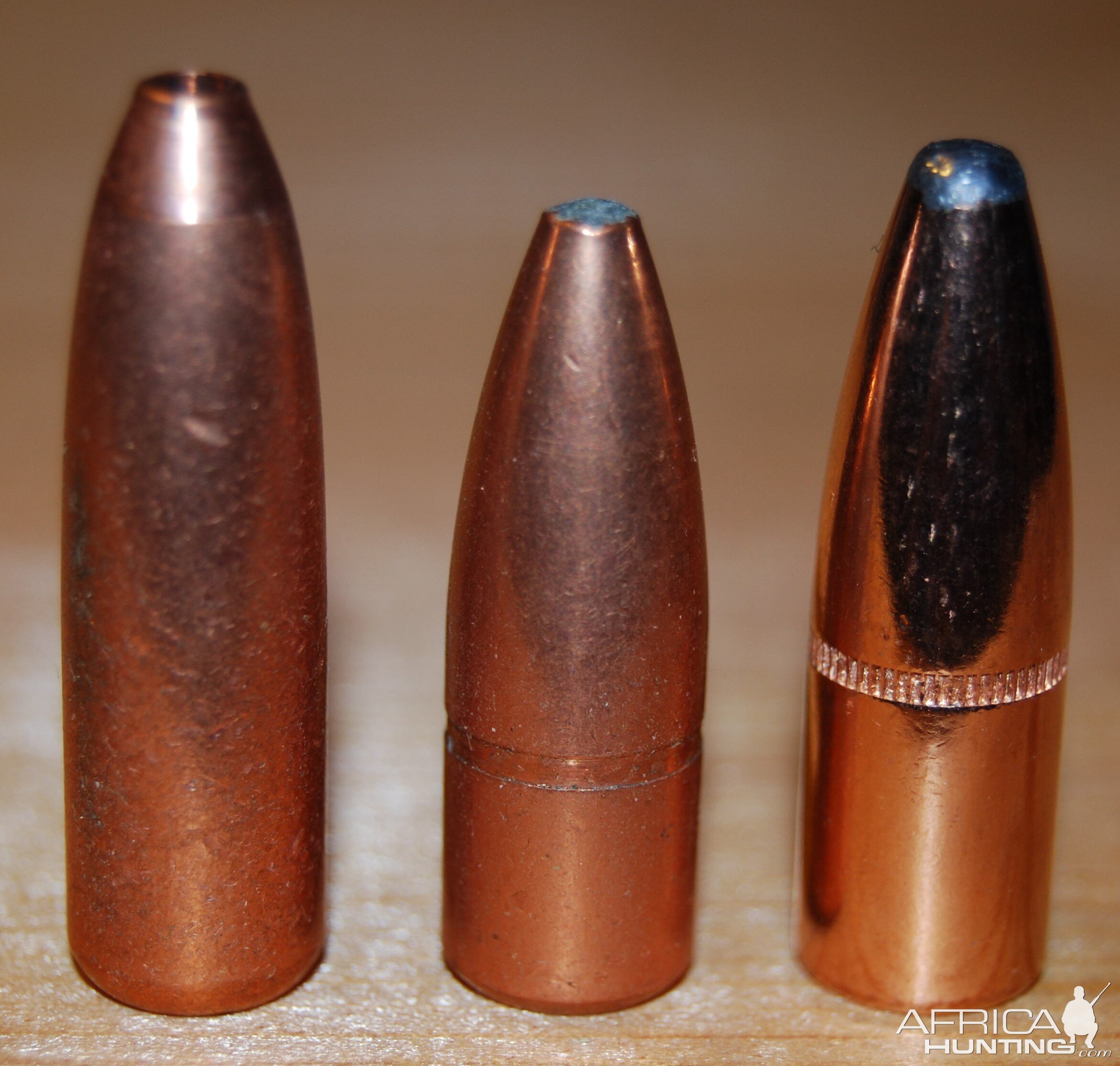 Bitterroot Bonded Core, Trophy Bonded, Speer Grand Slam 375 Bullets