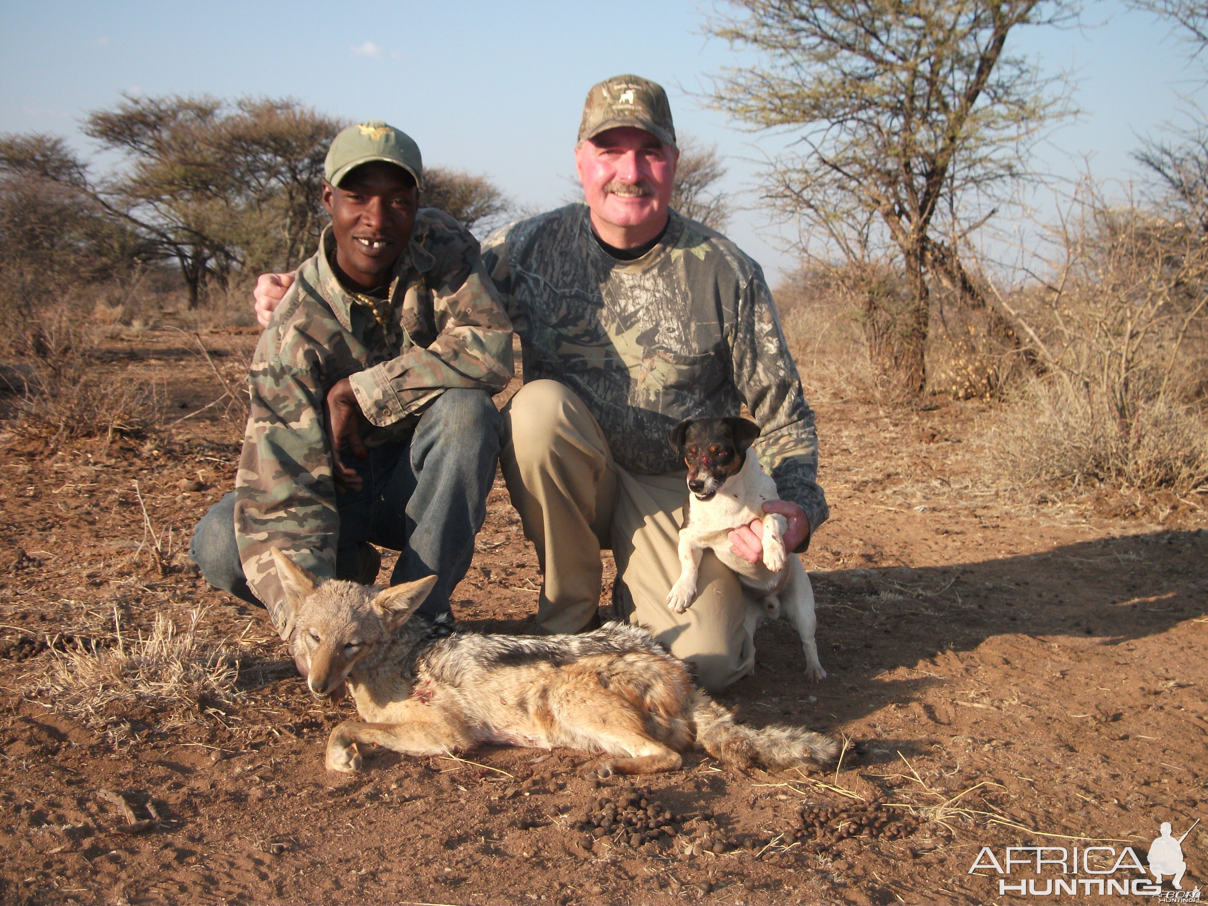 Black-Backed Jackal hunted with Ozondjahe Hunting Safaris in Namibia