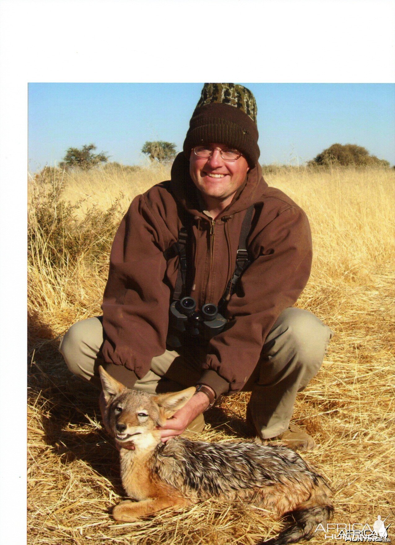 Black Backed Jackal Namibia