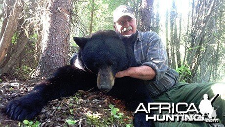 Black Bear Canada