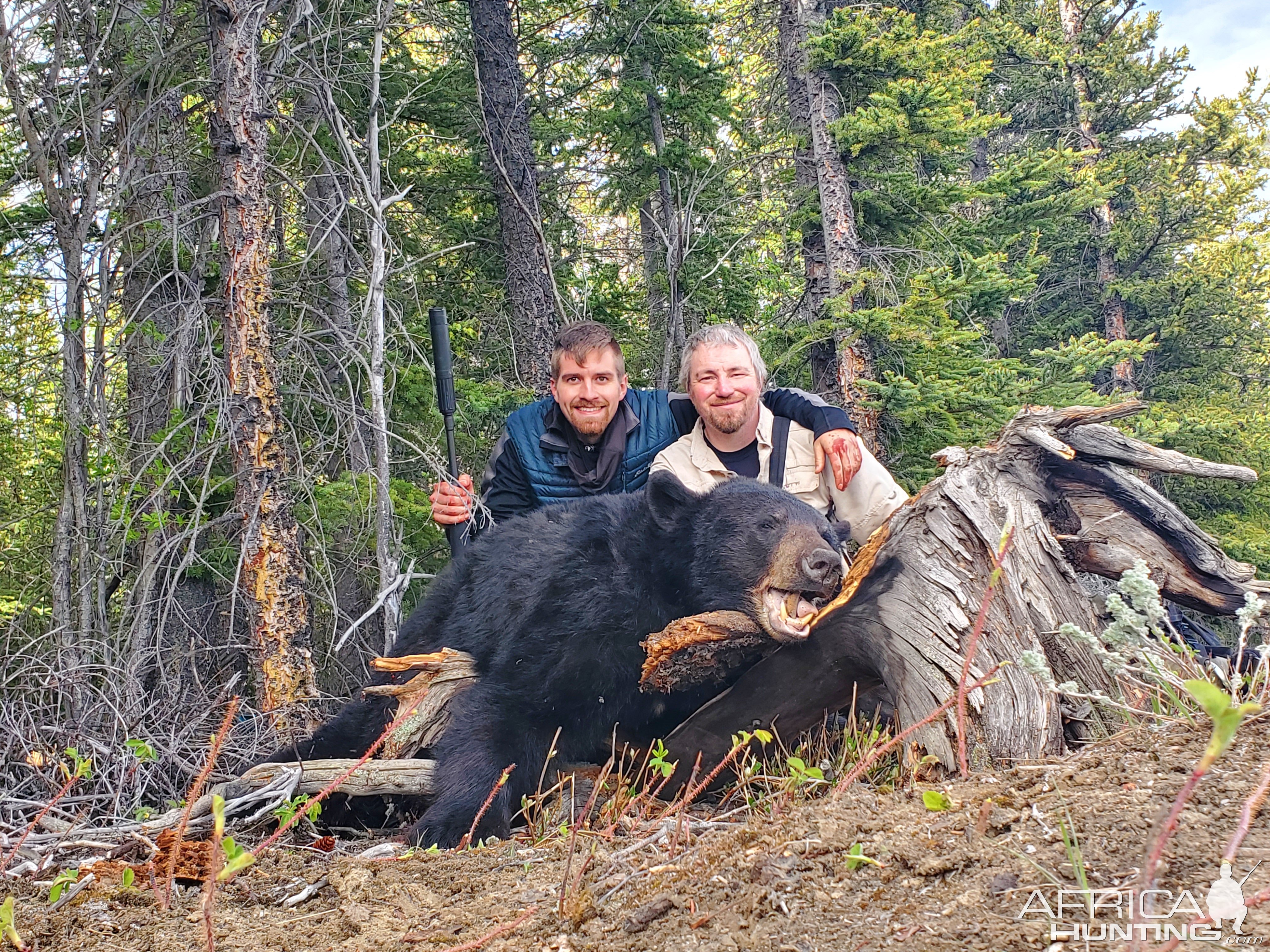 Black Bear Hunt Alaska