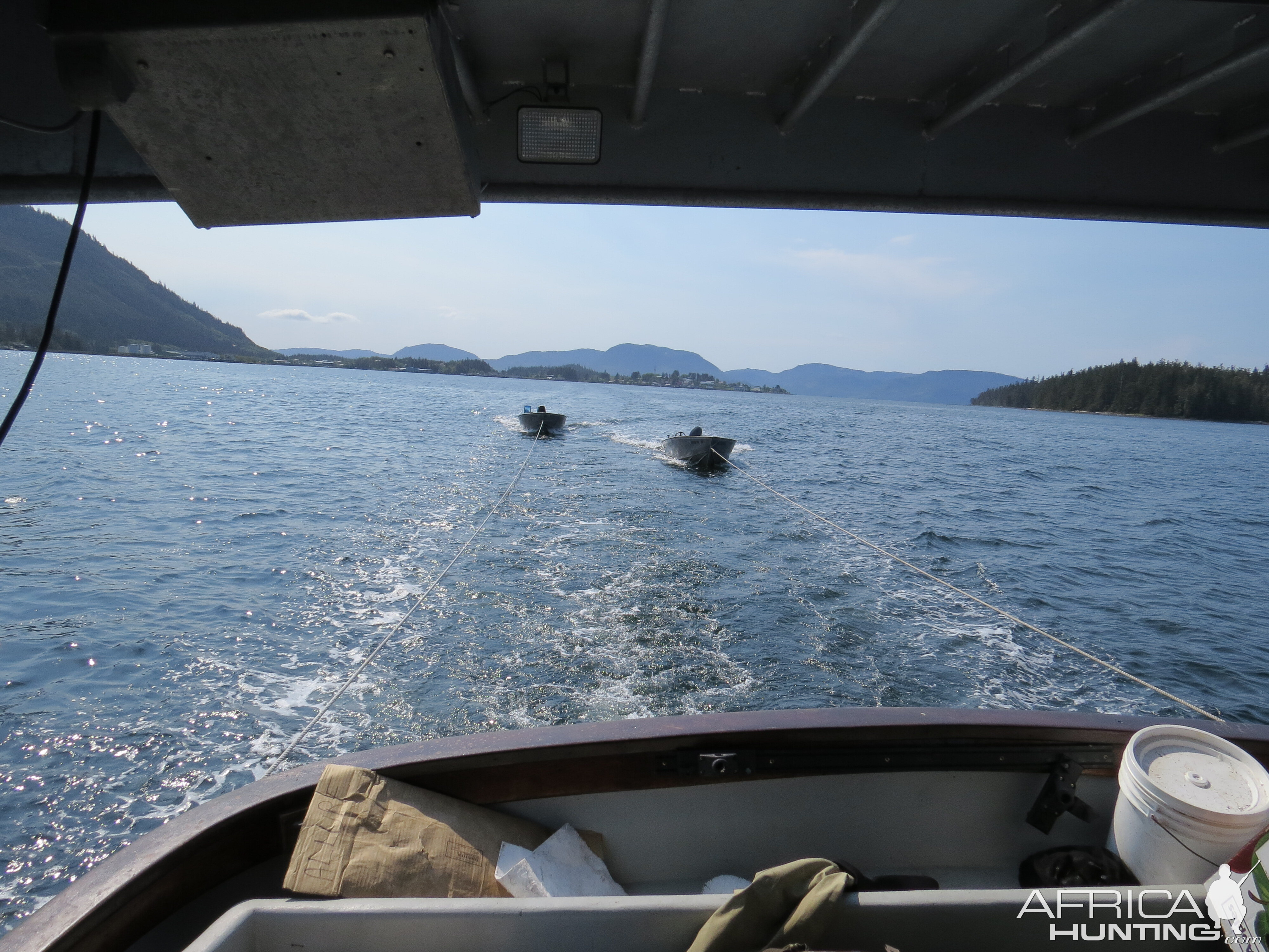 Black Bear Hunt On And Around Prince Of Whales SE Alaska