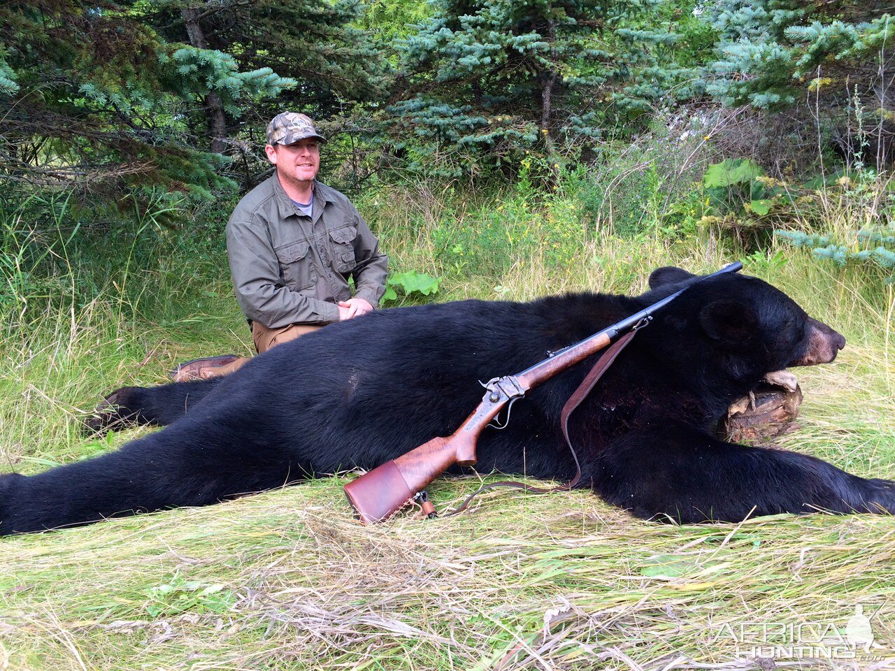 Black Bear Hunt