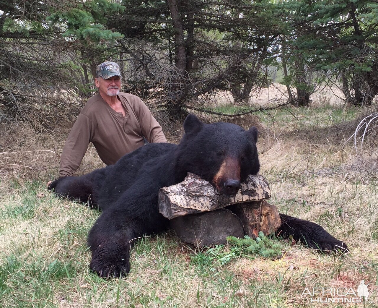 Black Bear Hunt