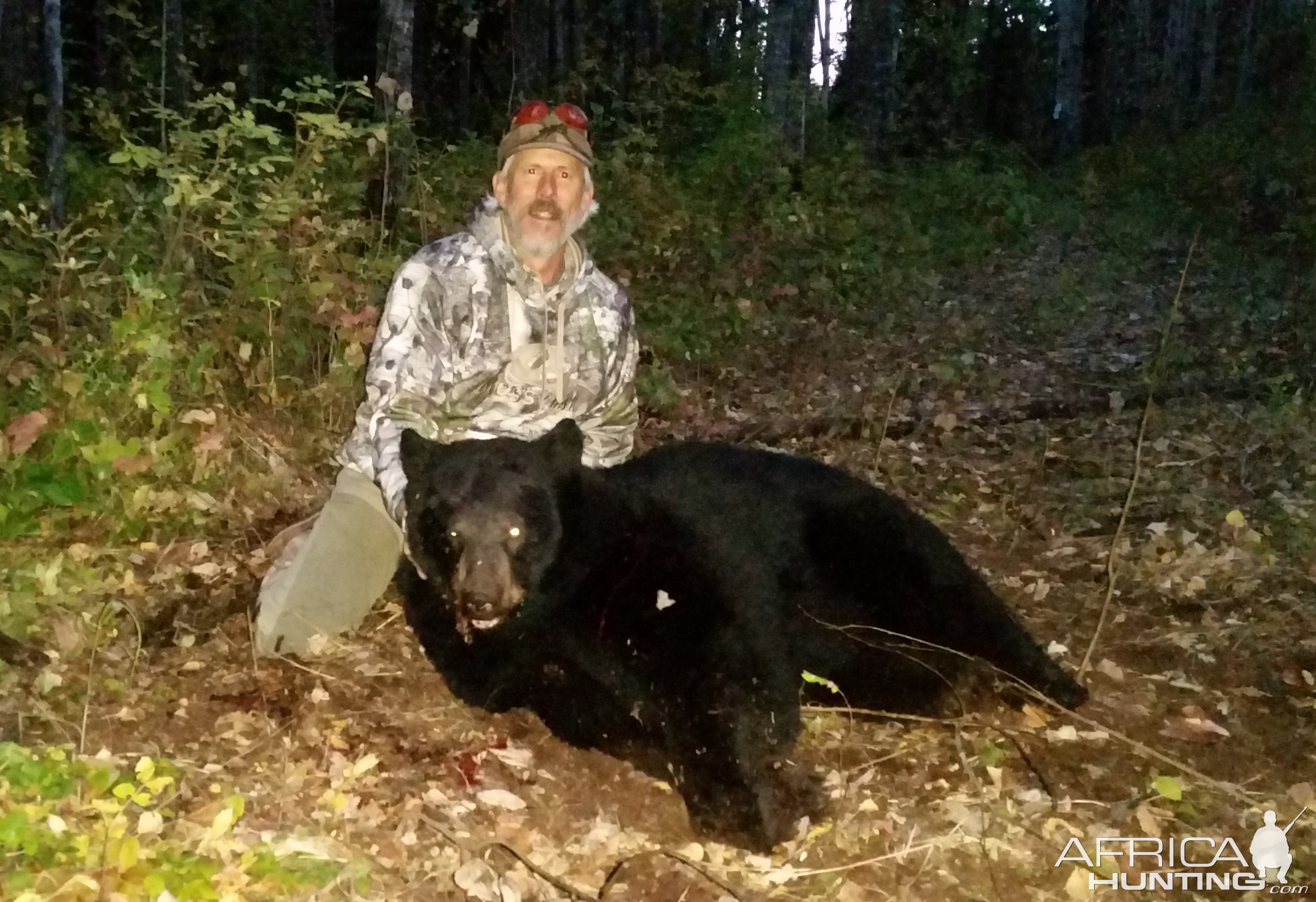 Black Bear Hunting