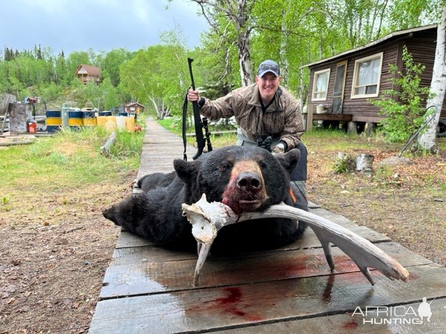 Black Bear Hunting