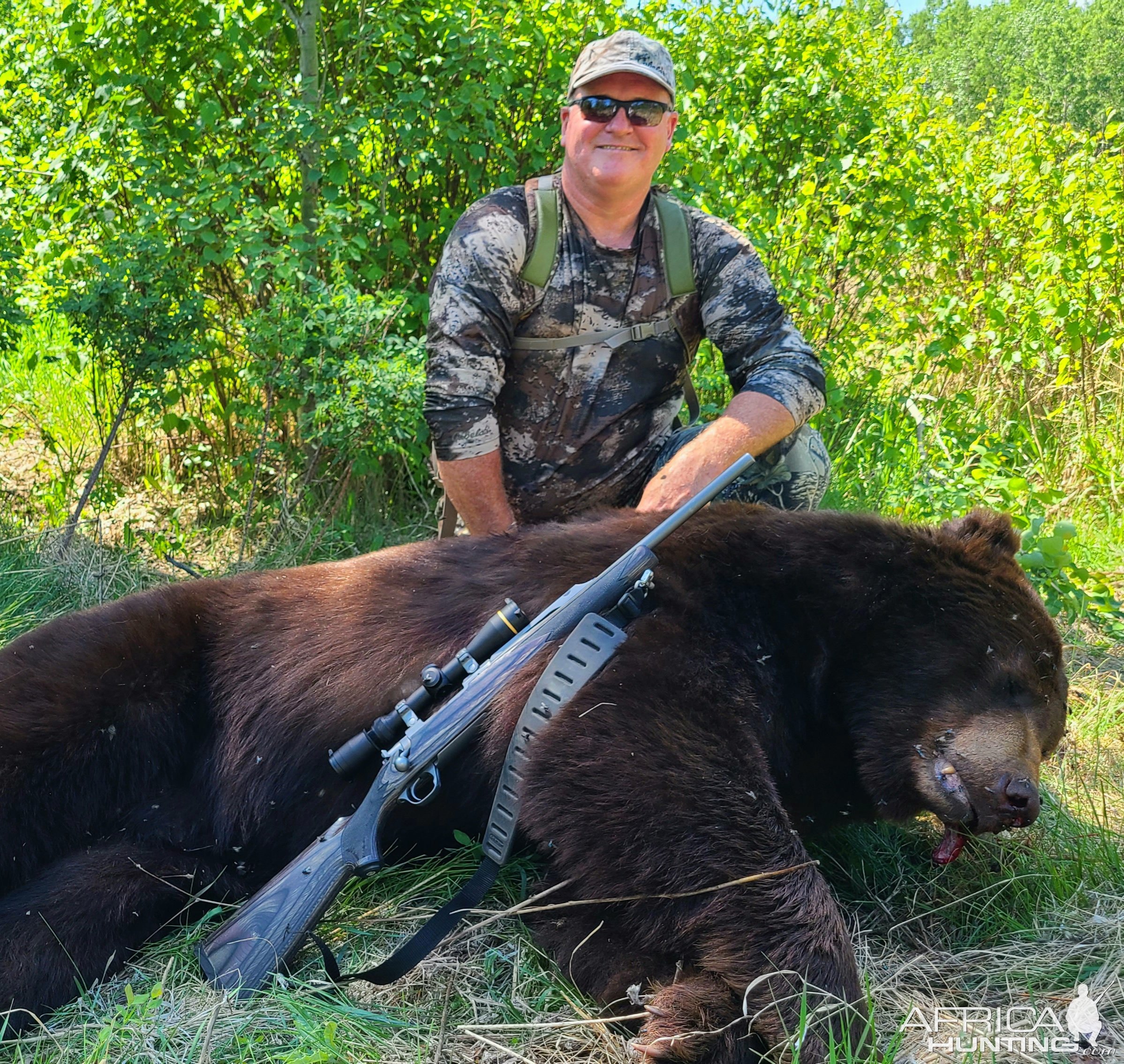 Black Bear Hunting