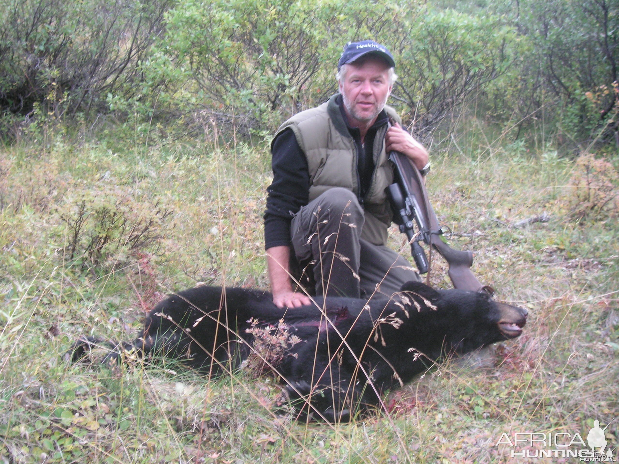 black bear in alaska