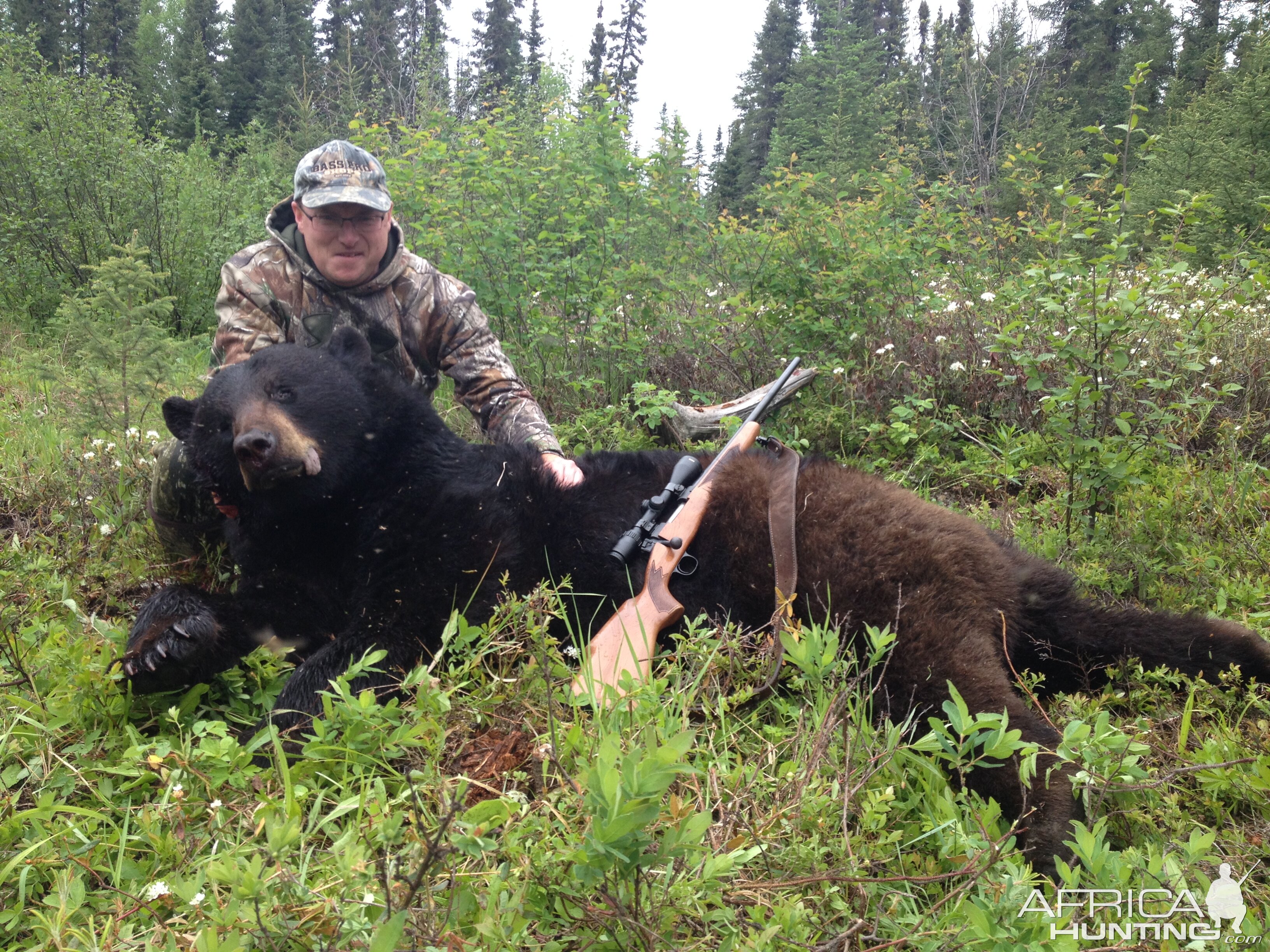 Black Bear Ontario Spring 2014