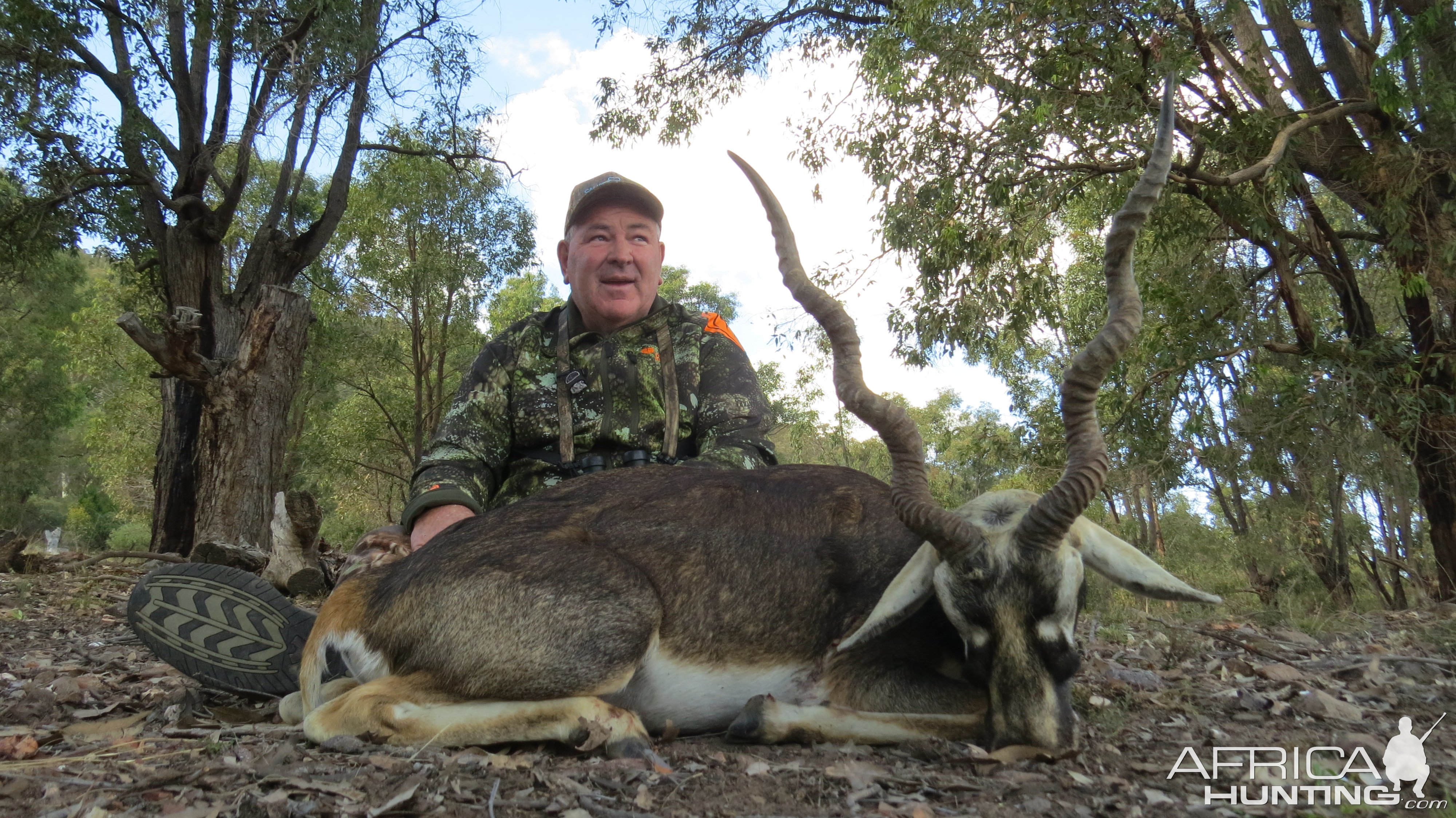 Black Buck Hunting