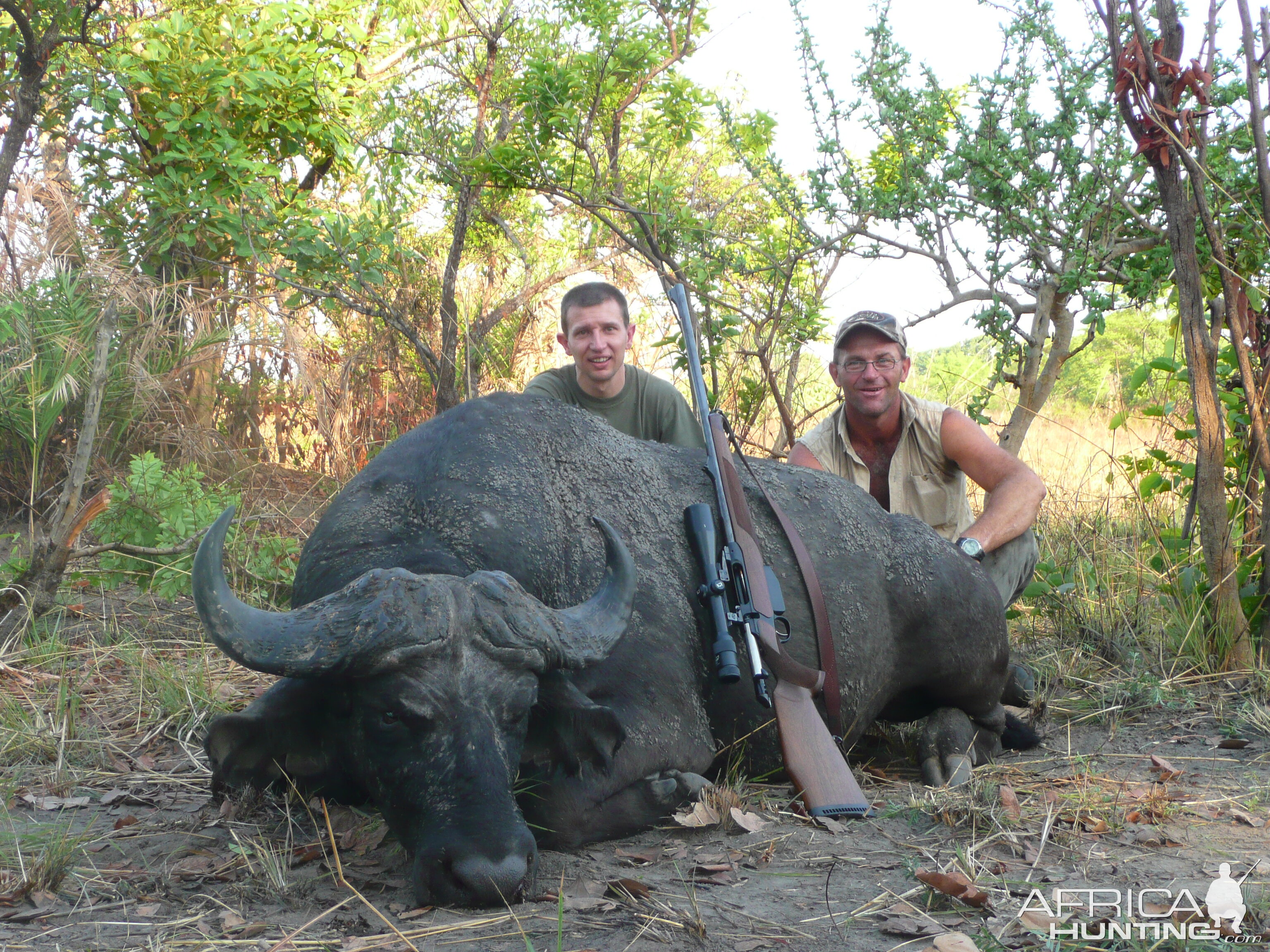 Black Buffalo bull hunted in CAR