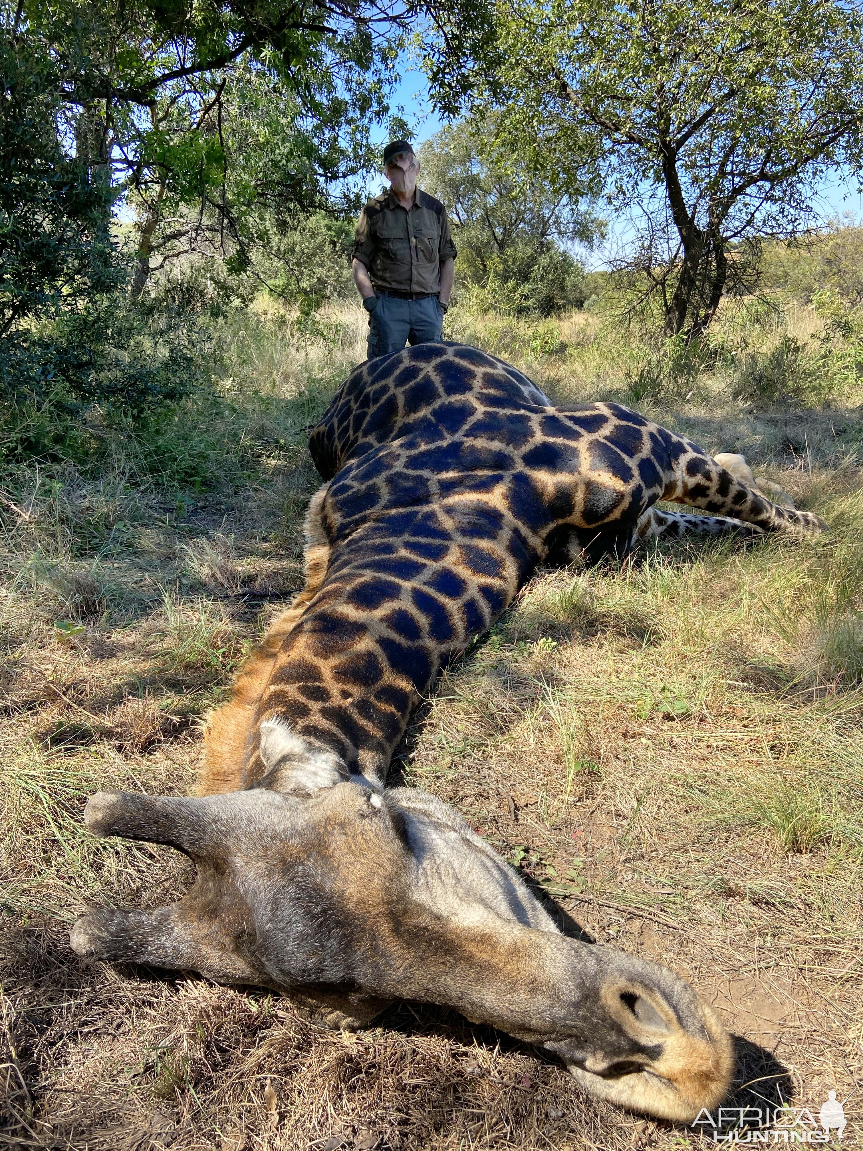 Black Giraffe Hunt South Africa