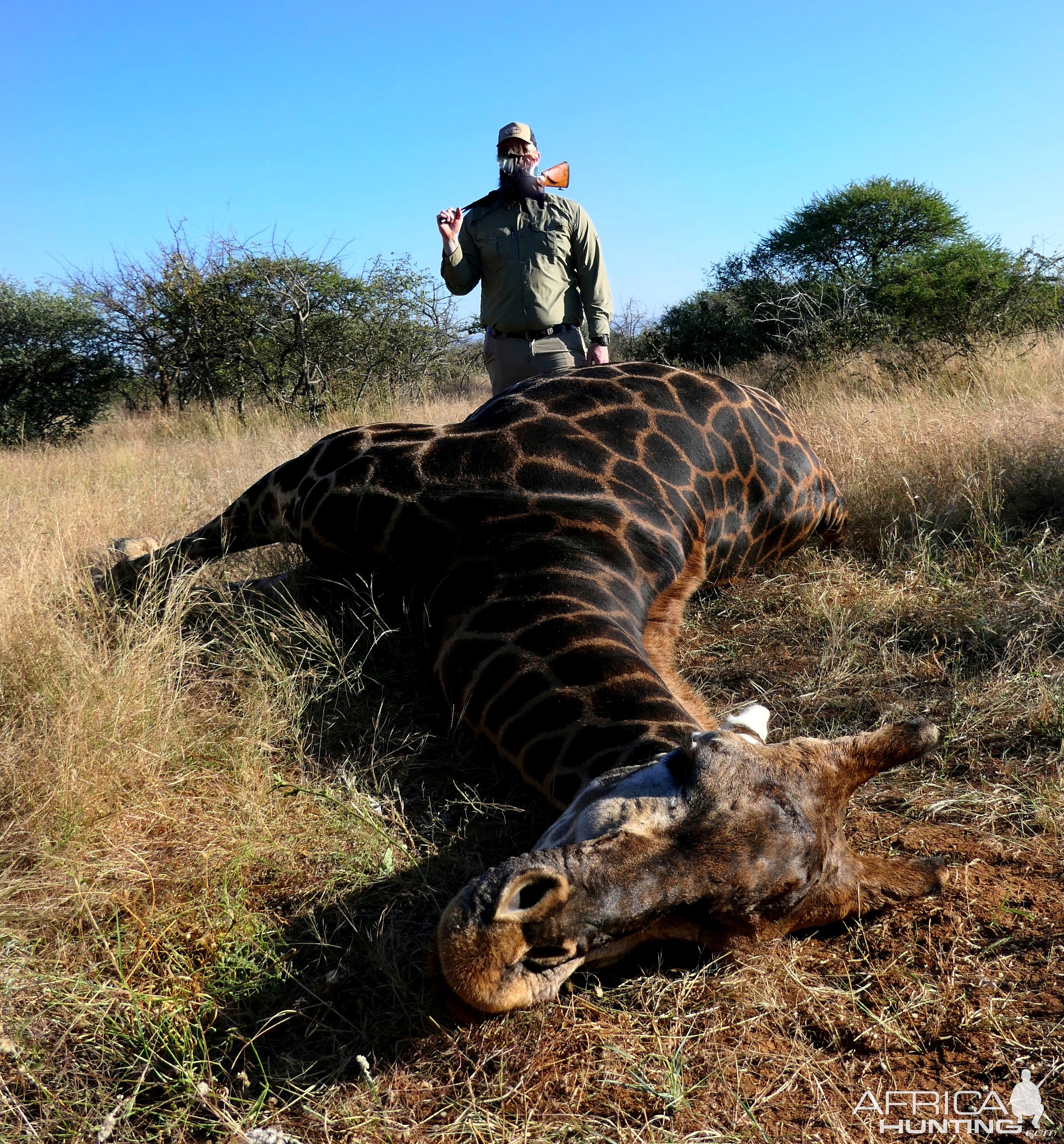 Black Giraffe Hunt South Africa