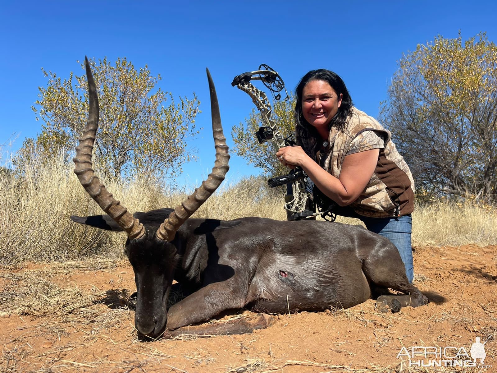 Black Impala Bow Hunt South Africa