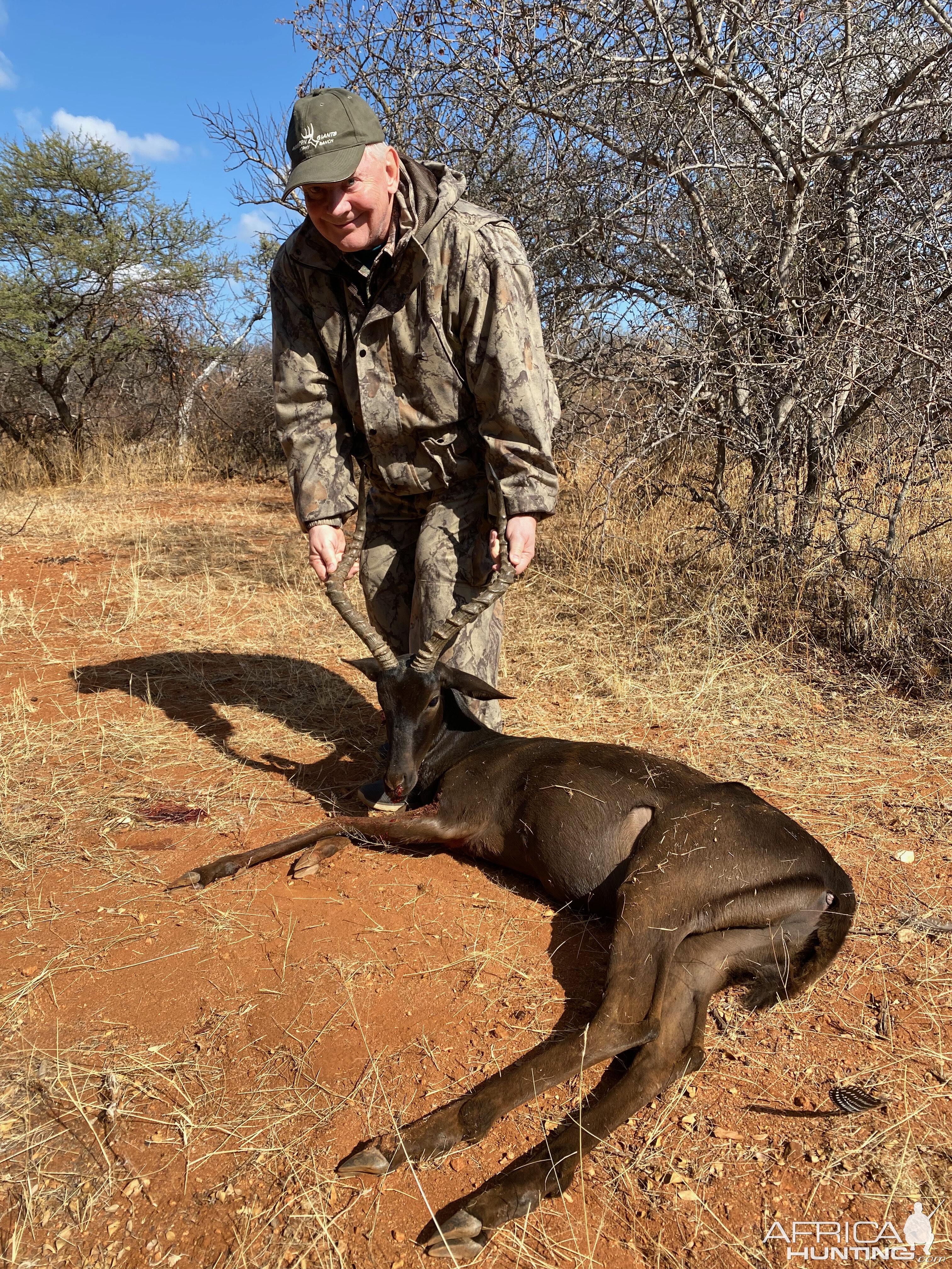 Black Impala Bow Hunting South Africa