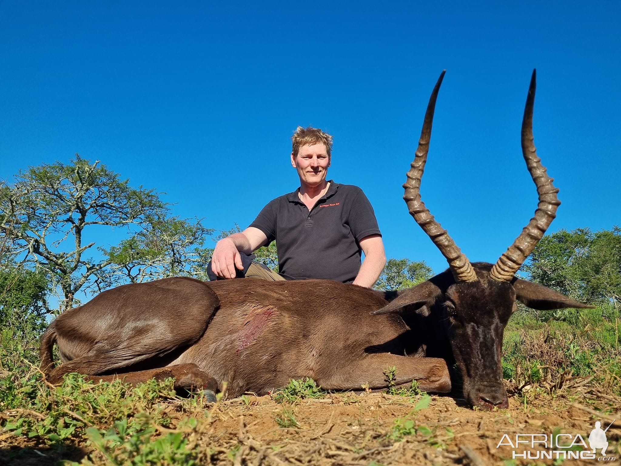 Black Impala Hunt Eastern Cape South Africa