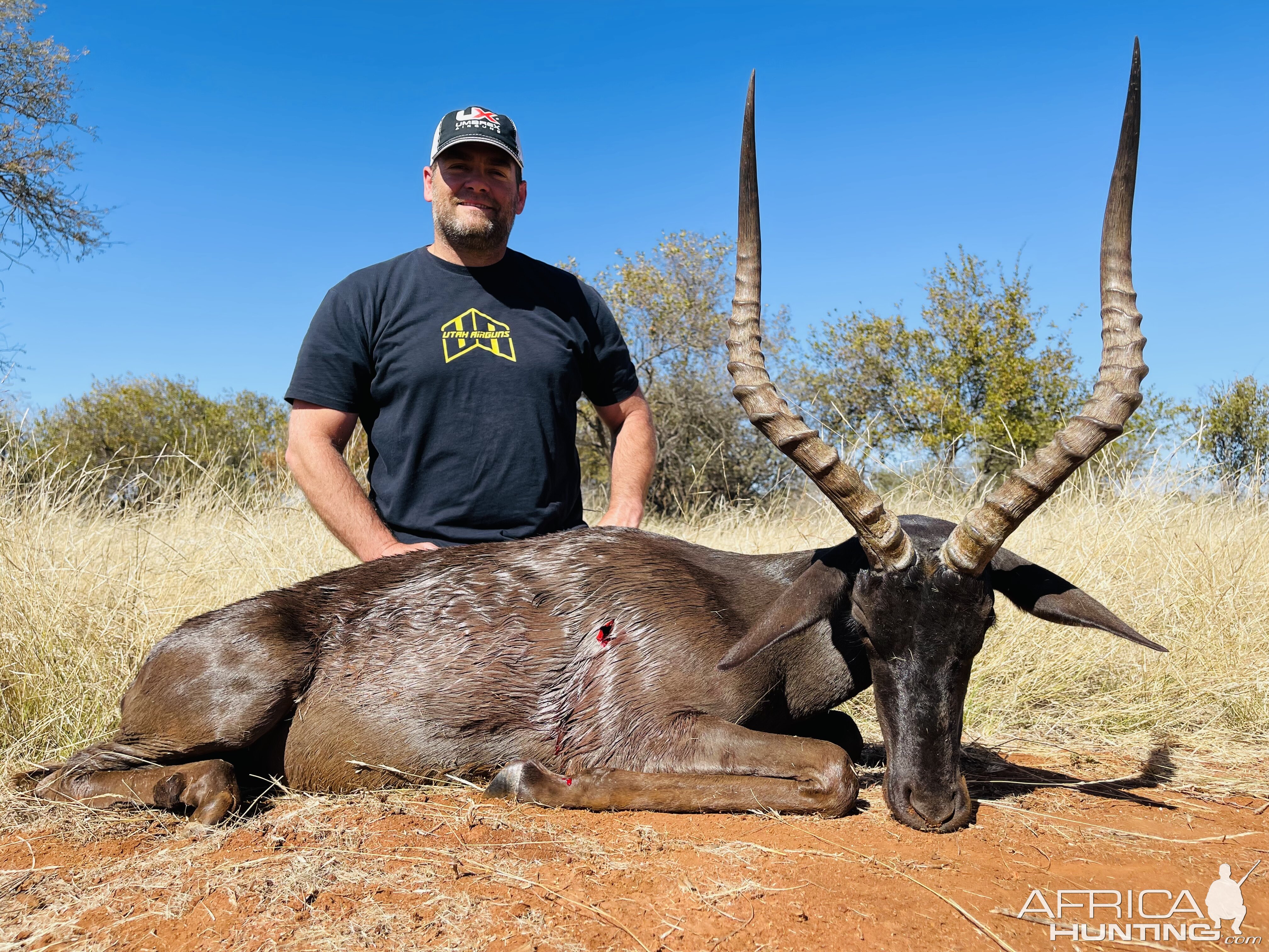 Black Impala Hunt South Africa