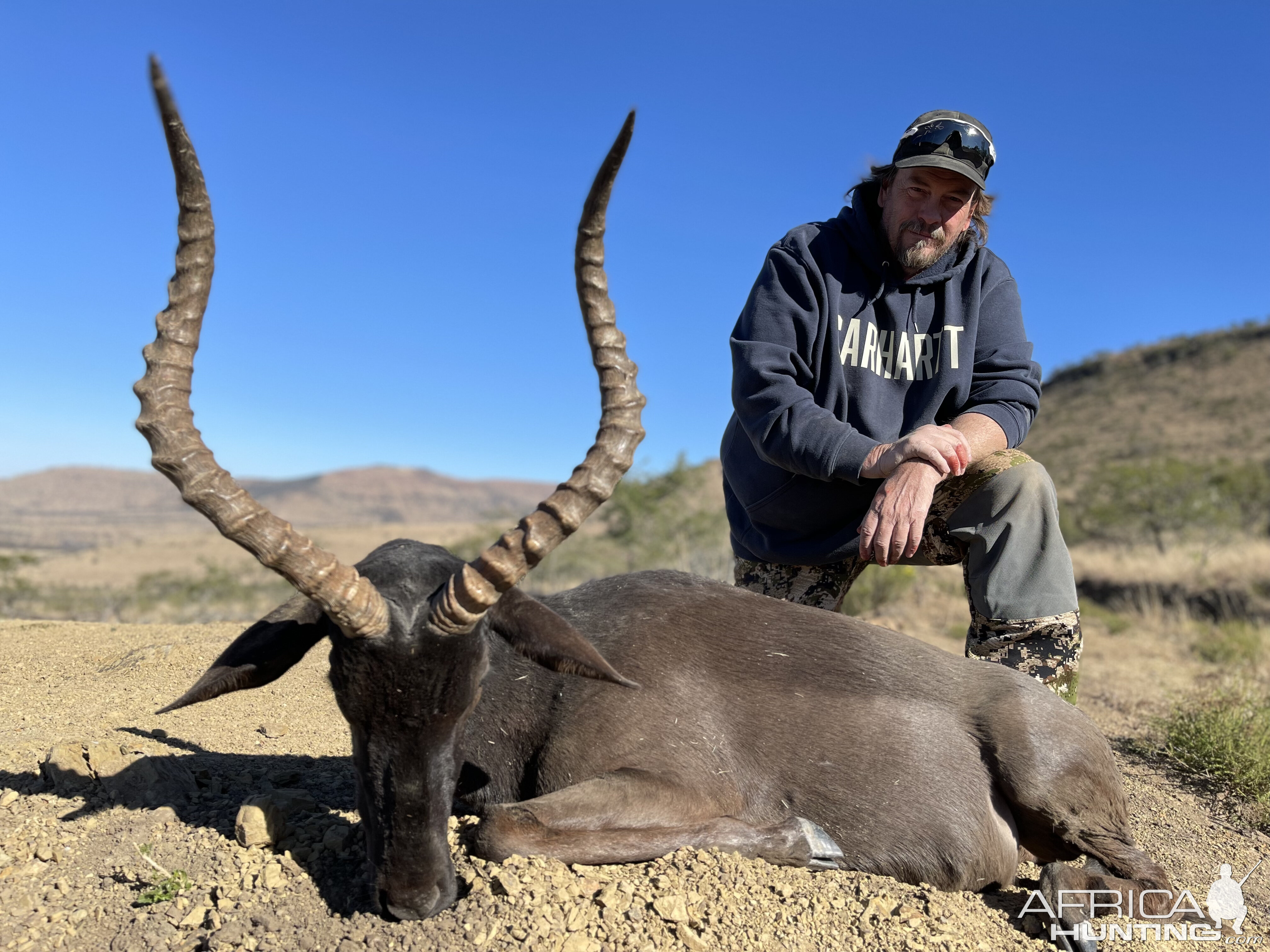 Black Impala Hunt South Africa