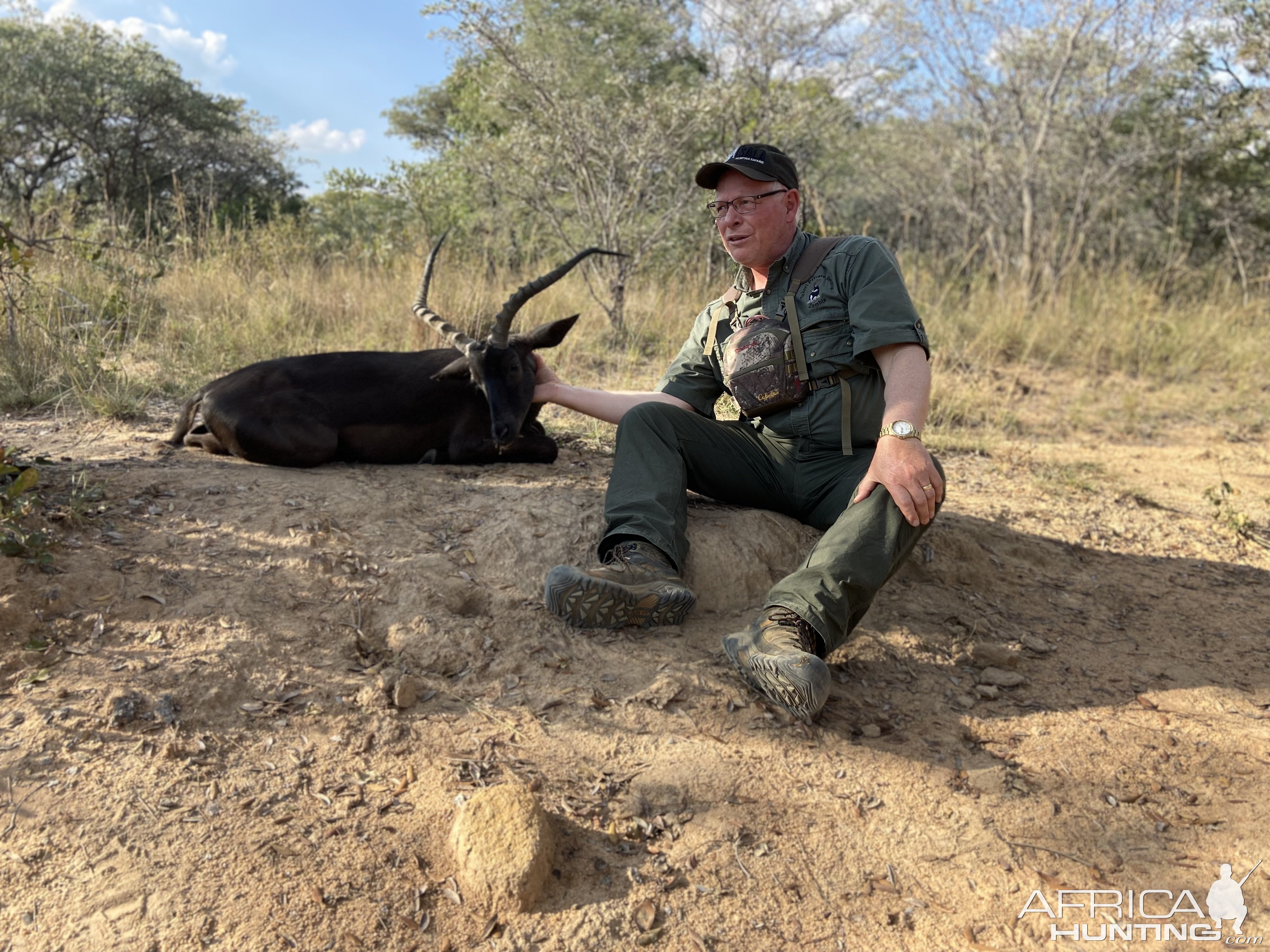 Black Impala Hunt South Africa