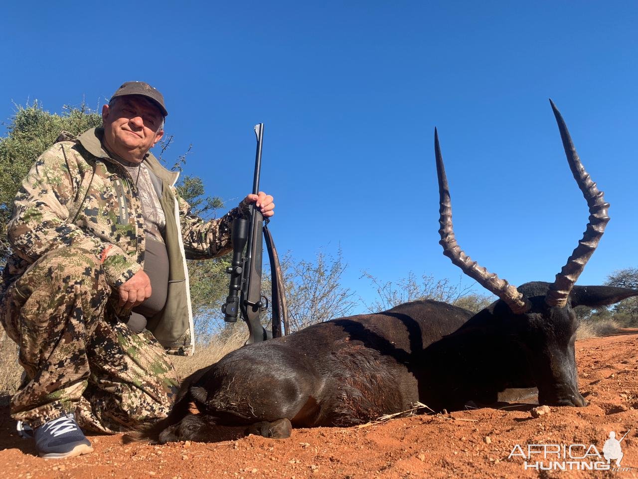 Black Impala Hunt South Africa