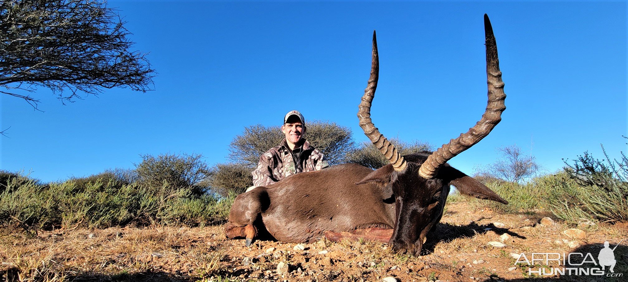 Black Impala Hunt South Africa