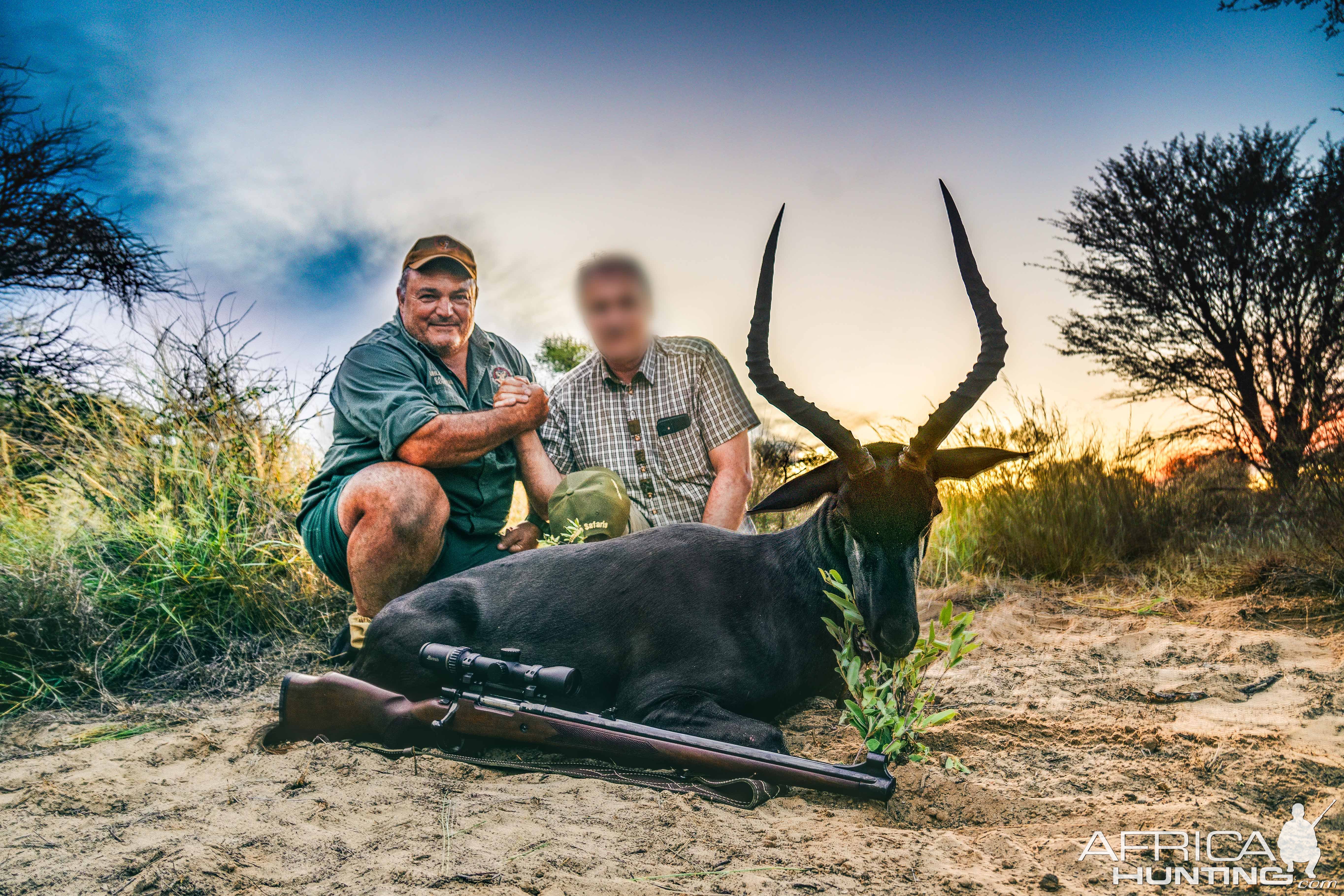 Black Impala Hunt South Africa