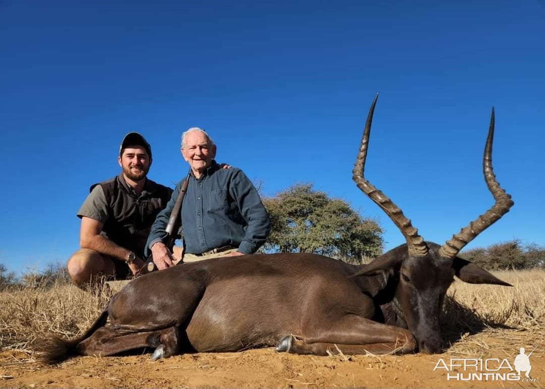 Black Impala Hunt South Africa