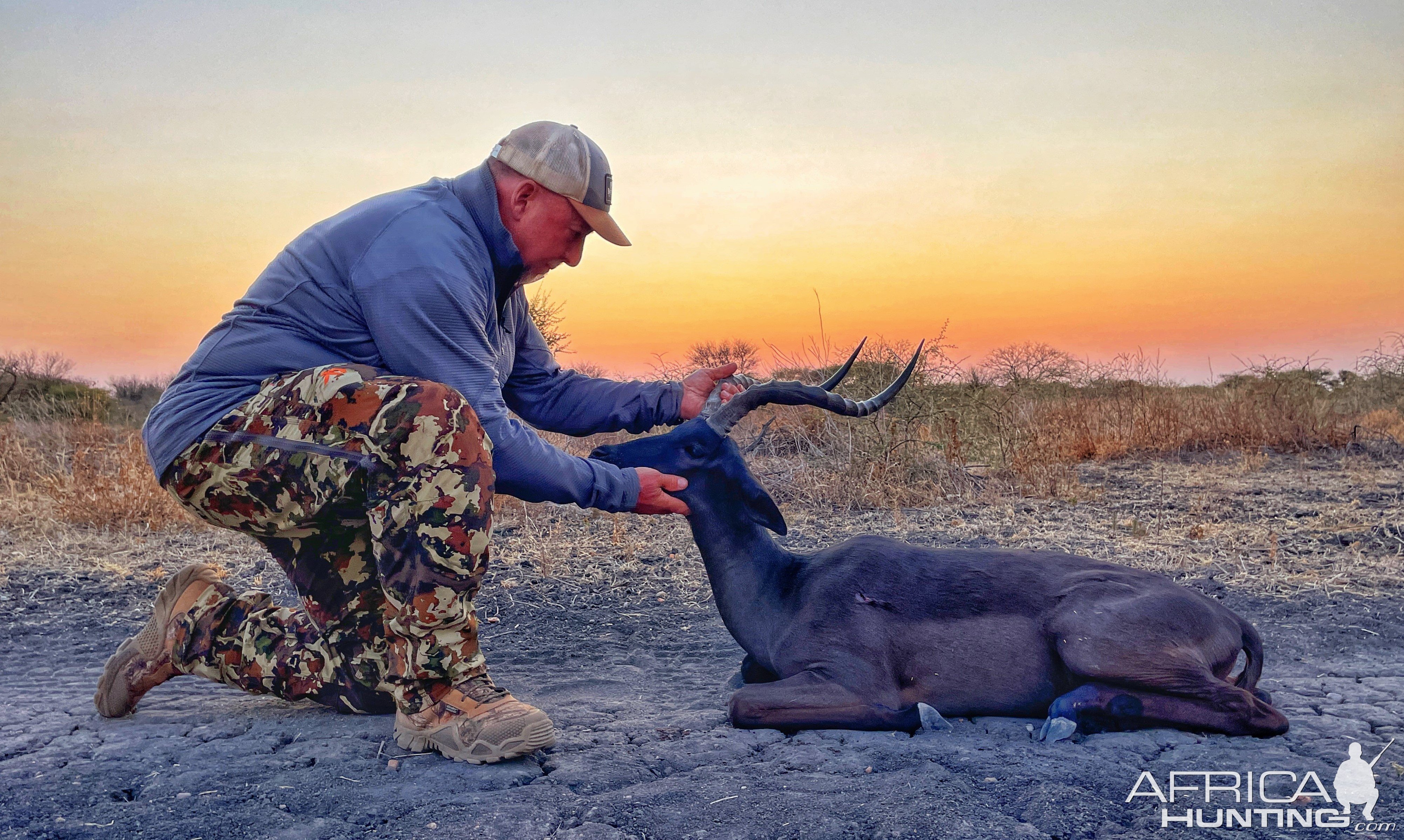 Black Impala Hunt South Africa