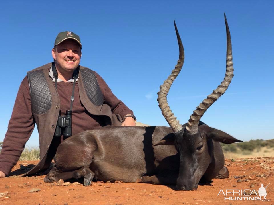 Black Impala Hunt South Africa