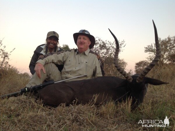 Black Impala Hunt South Africa