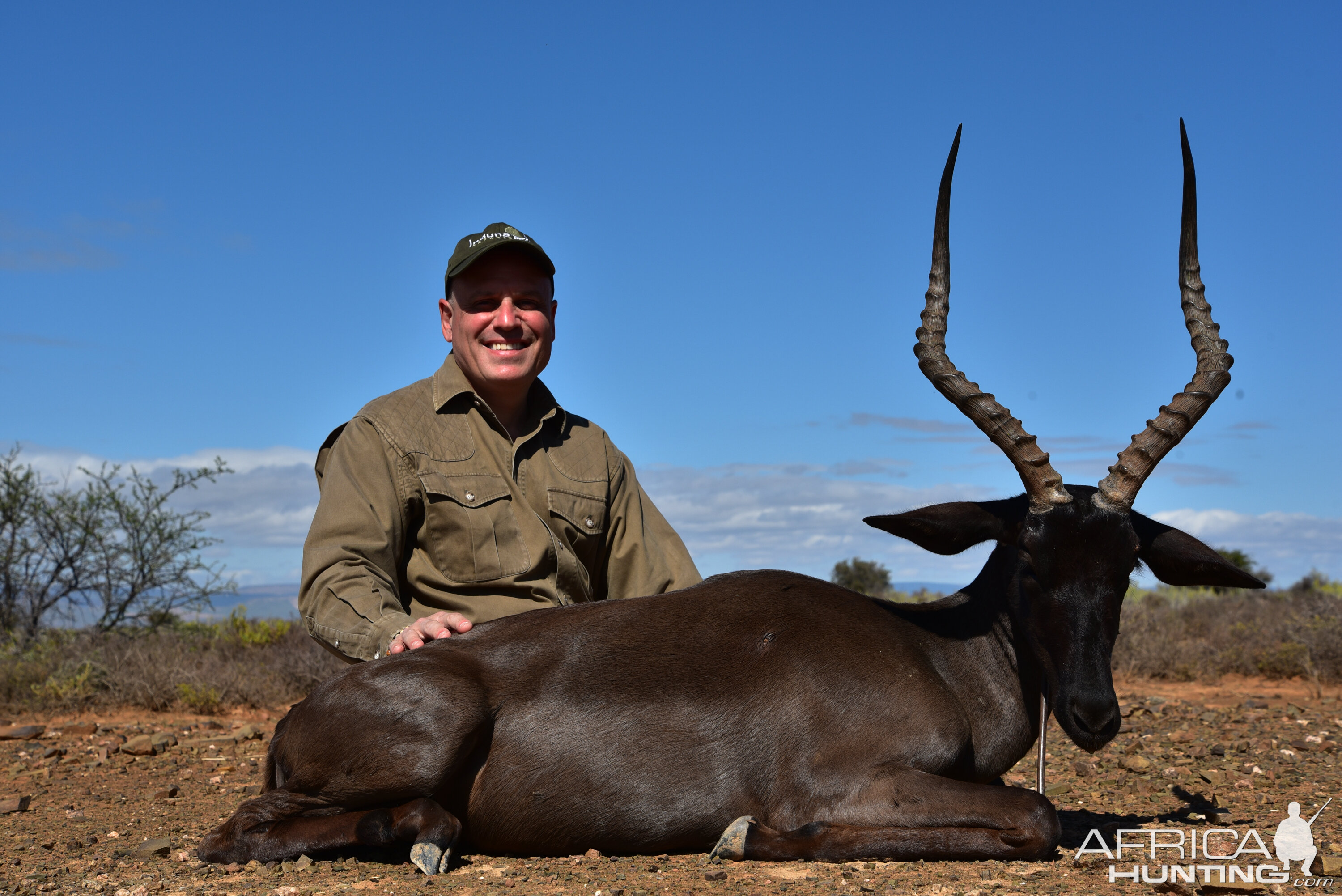 Black Impala Hunt South Africa