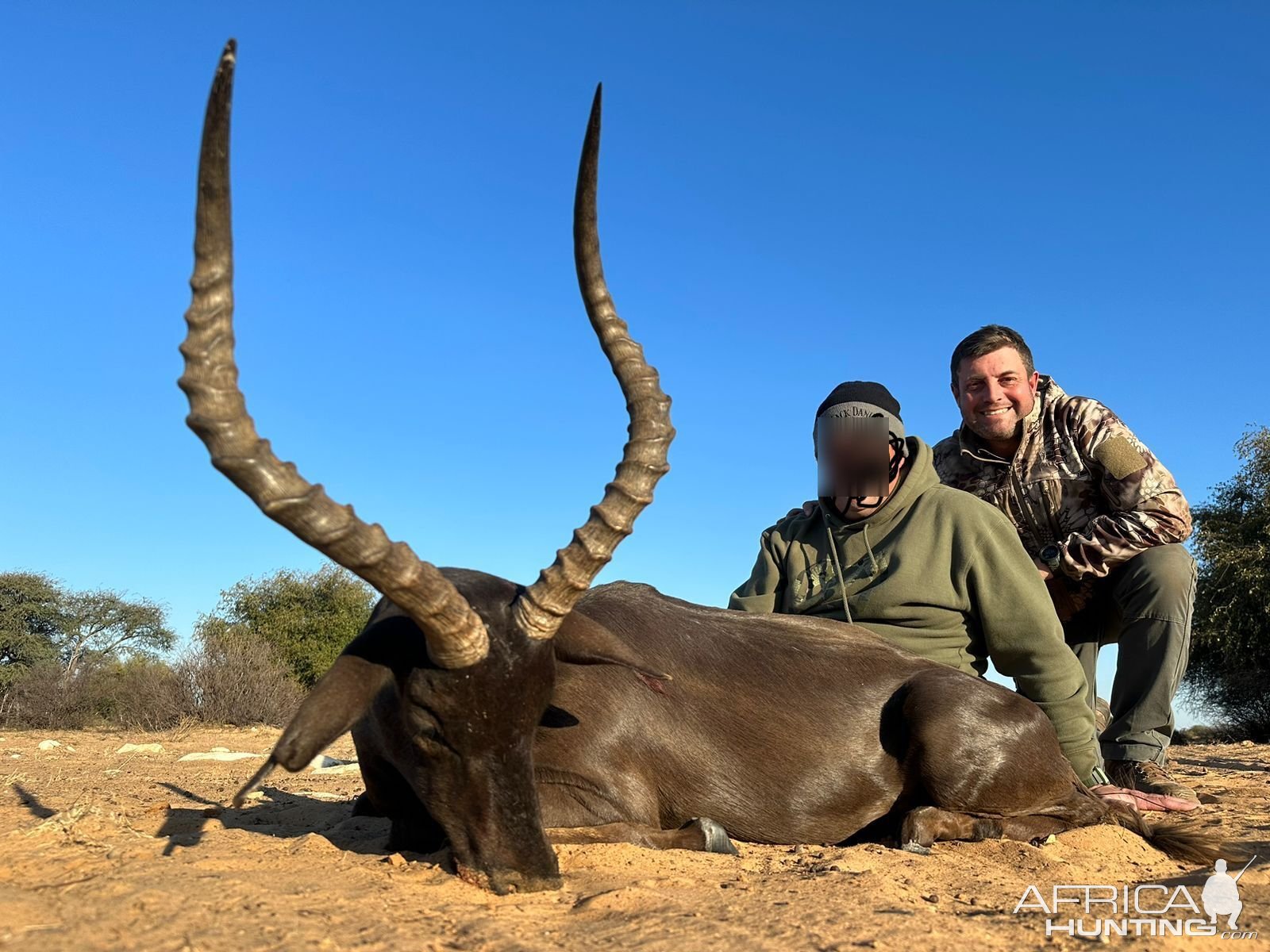 Black Impala Hunt