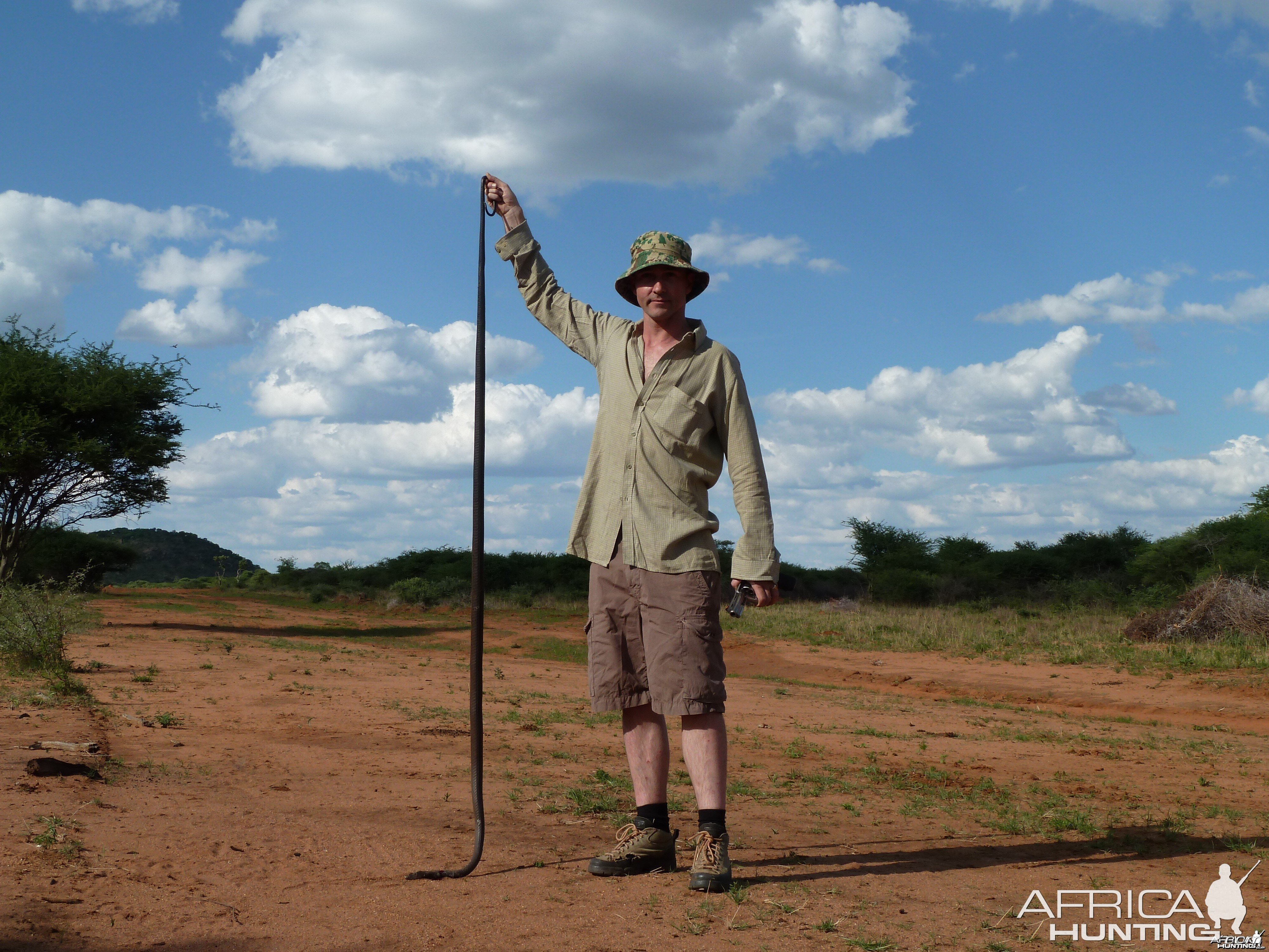 Black Mamba Namibia