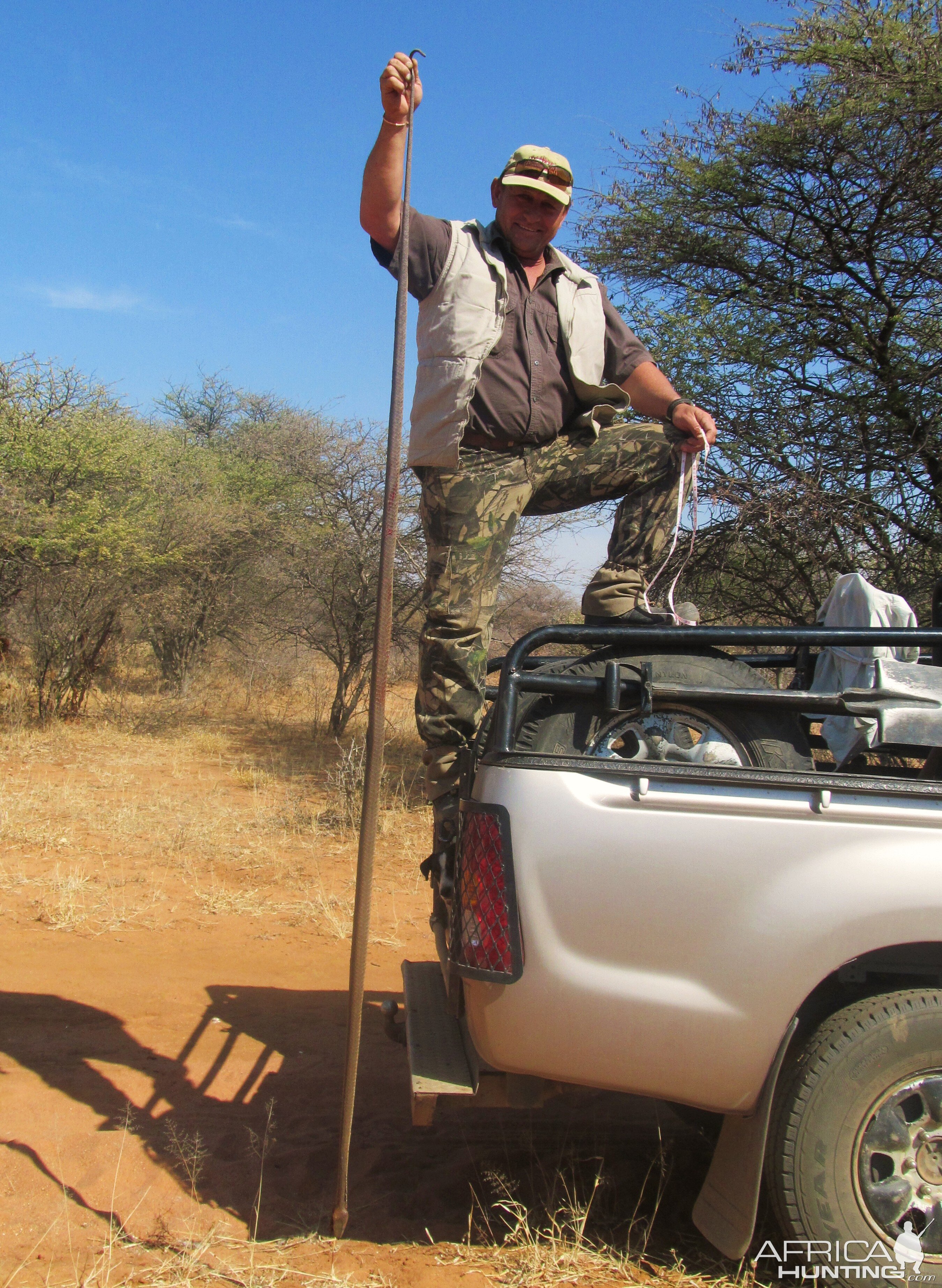 Black Mamba Namibia