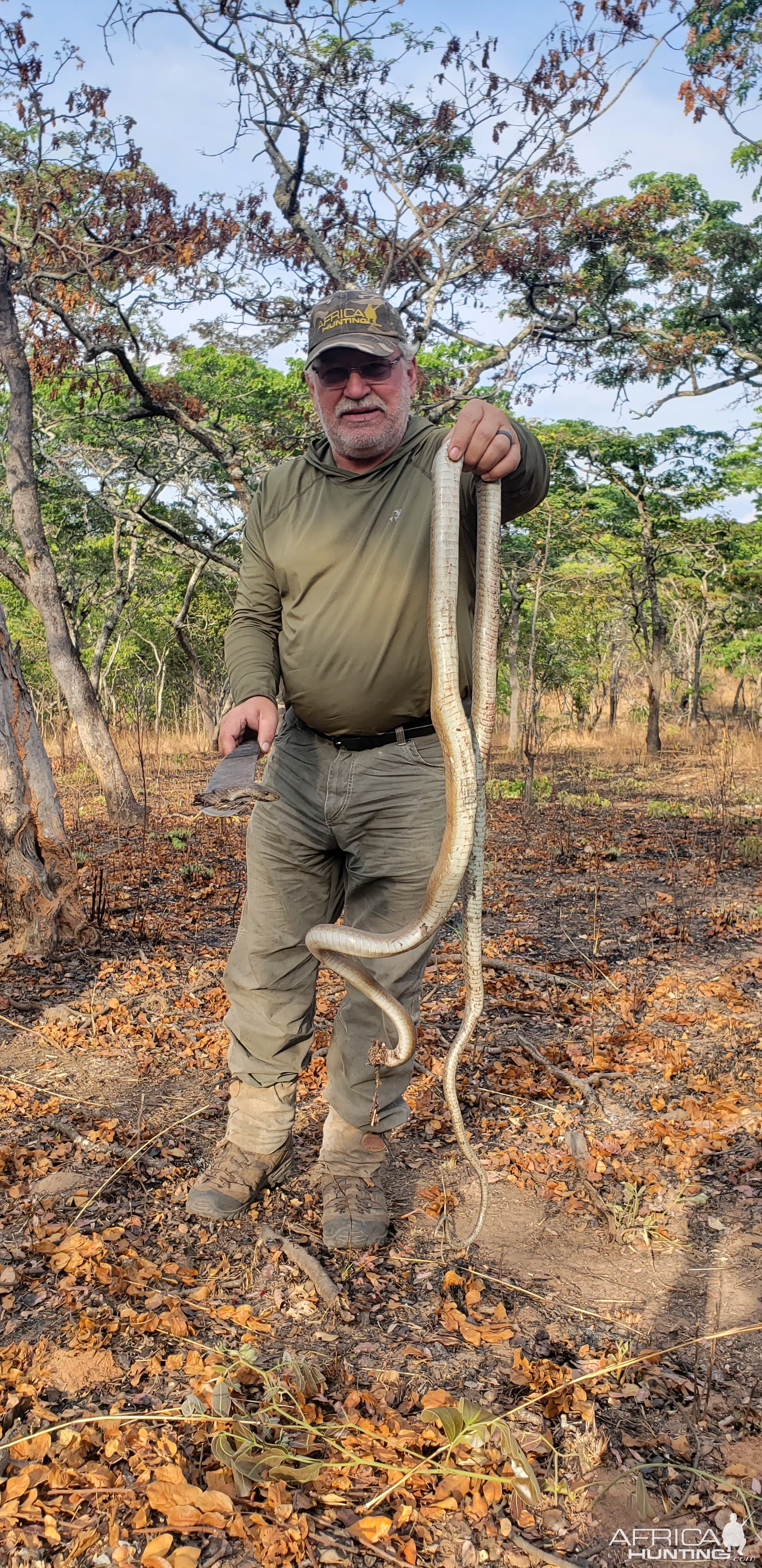 Black Mamba Snake Hunt