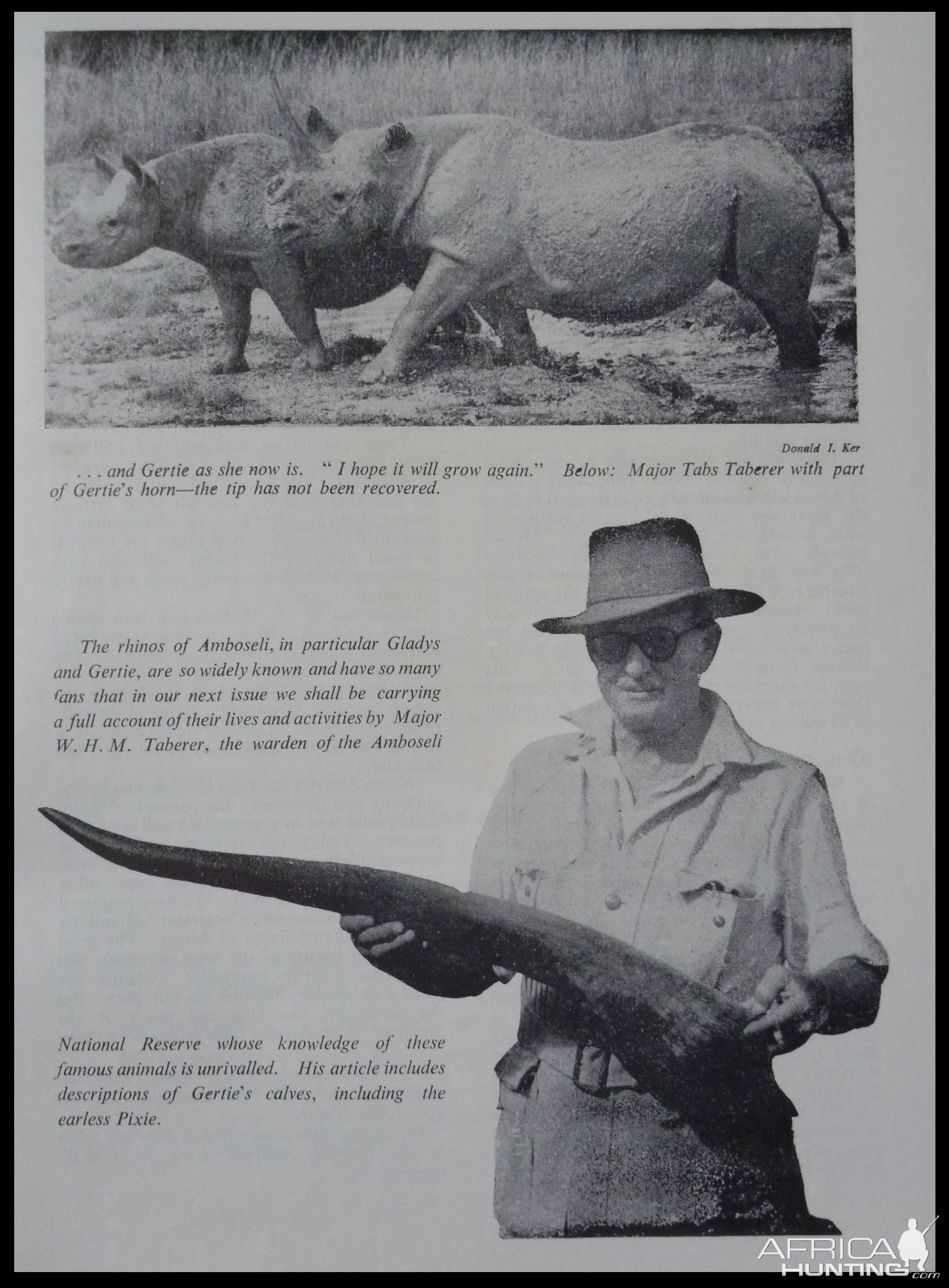 Black Rhino 'Gertie' of Kenya